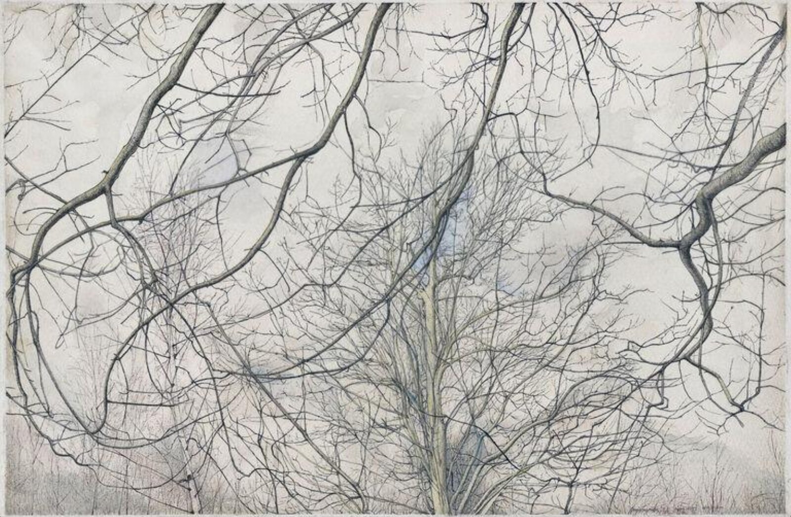 Tree Top High, Bob Jones, 1977