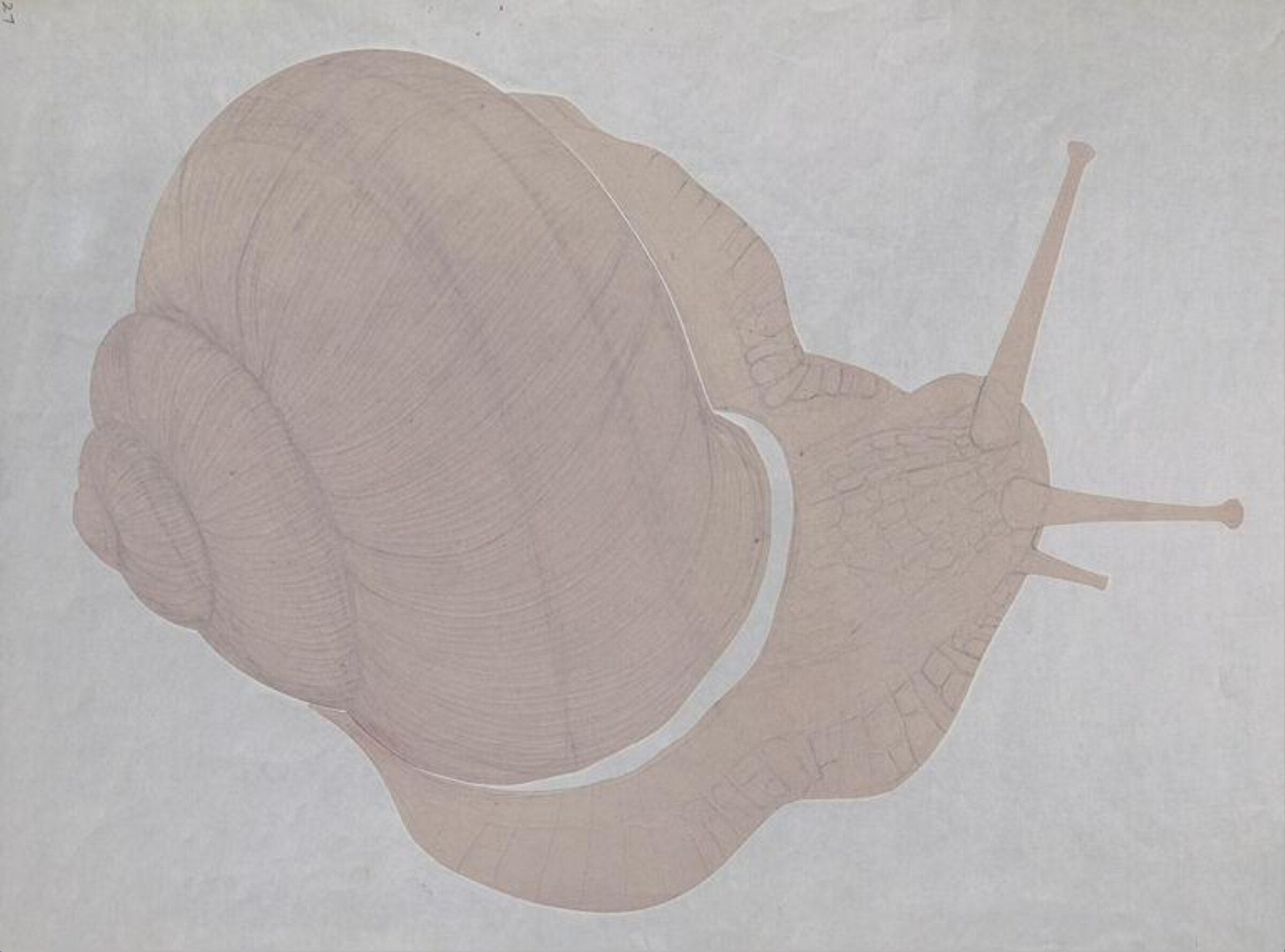 Drawing, E. H. Peskett, c.1981