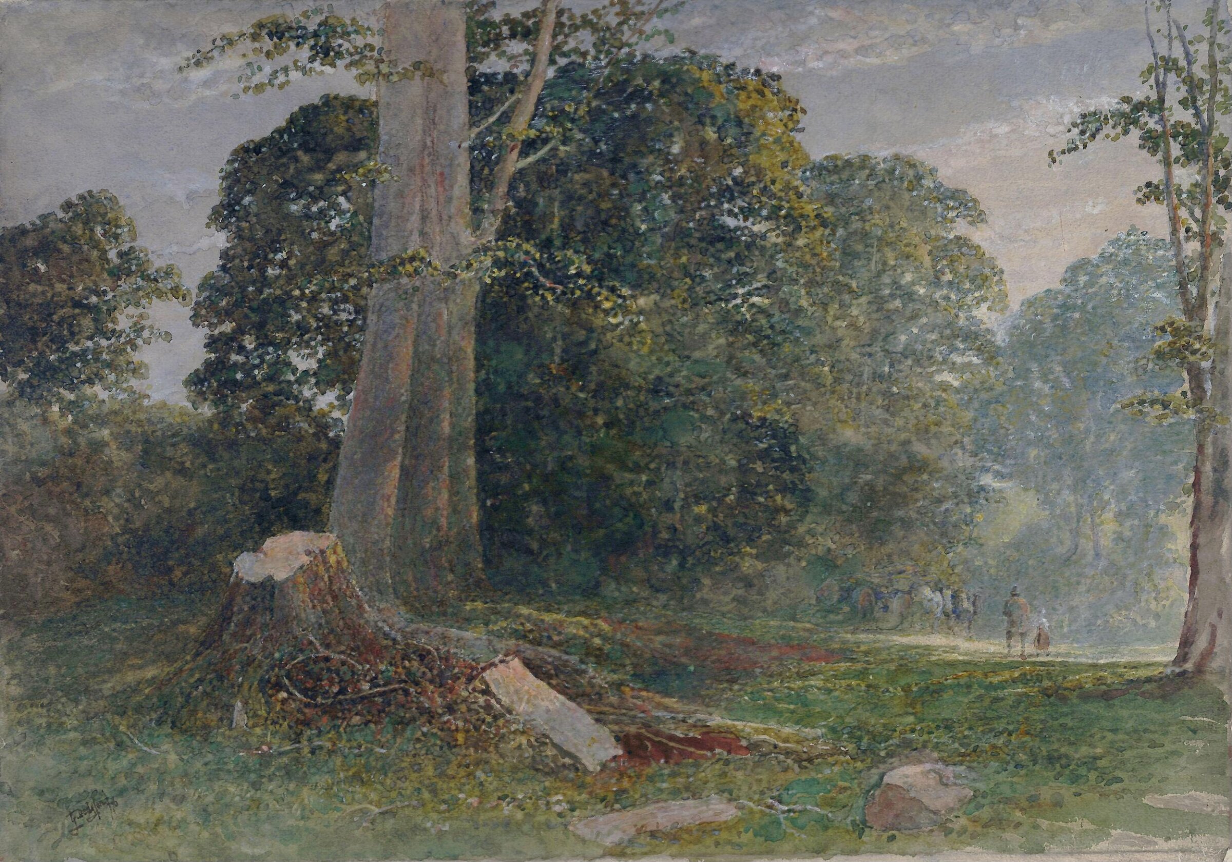Knole Park, near Sevenoaks, Kent: Evening, Dodgson, 1876