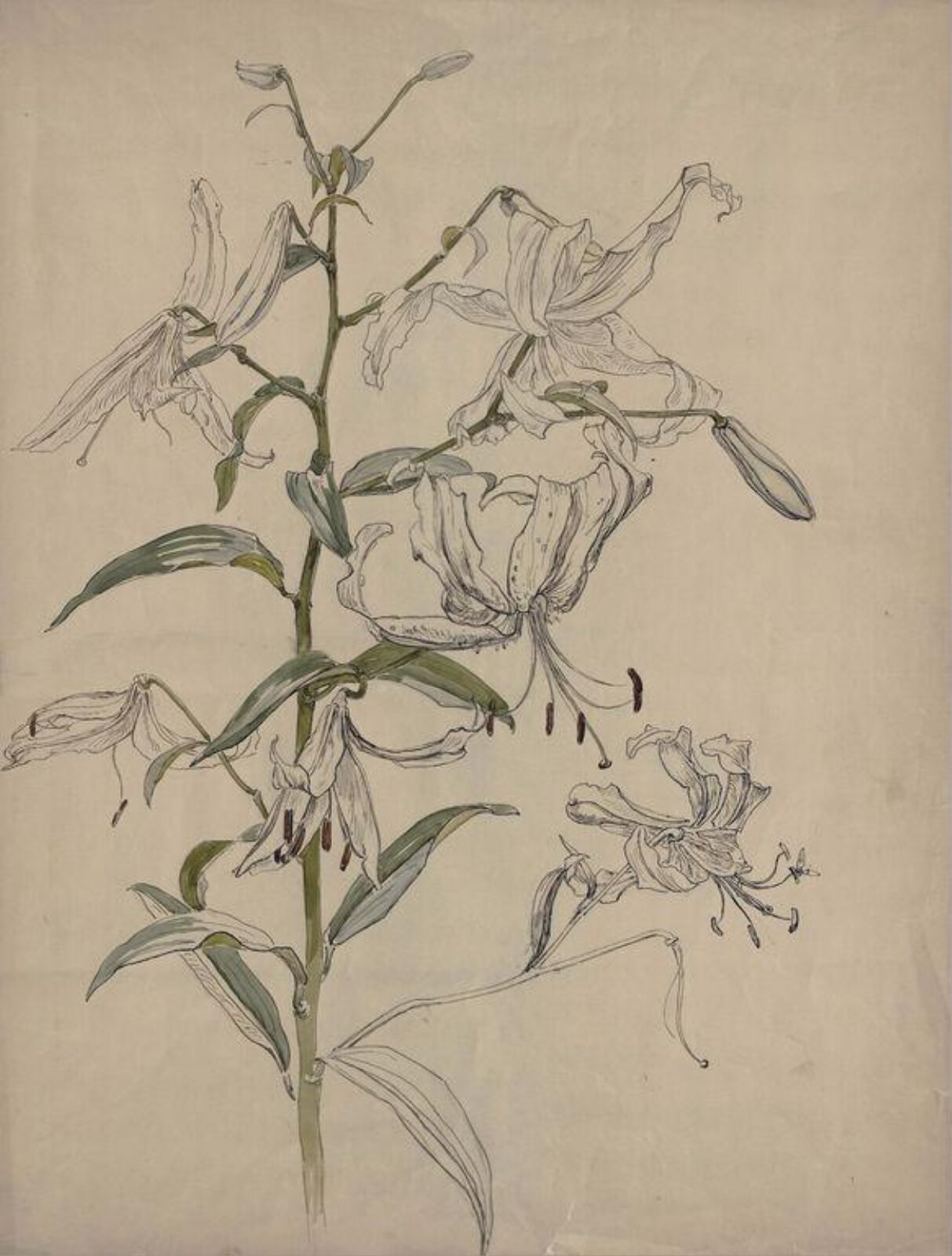 Watercolour, Rudolf Ribarz, ca.1870-1880