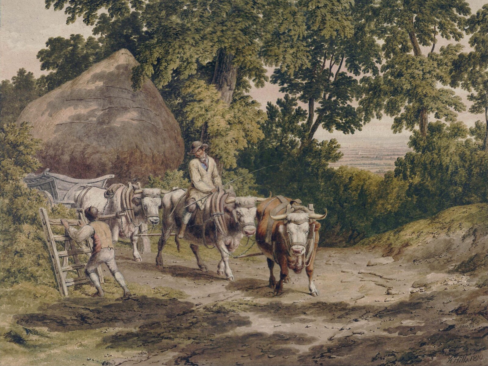The Ox Team, Robert Hills, 1810