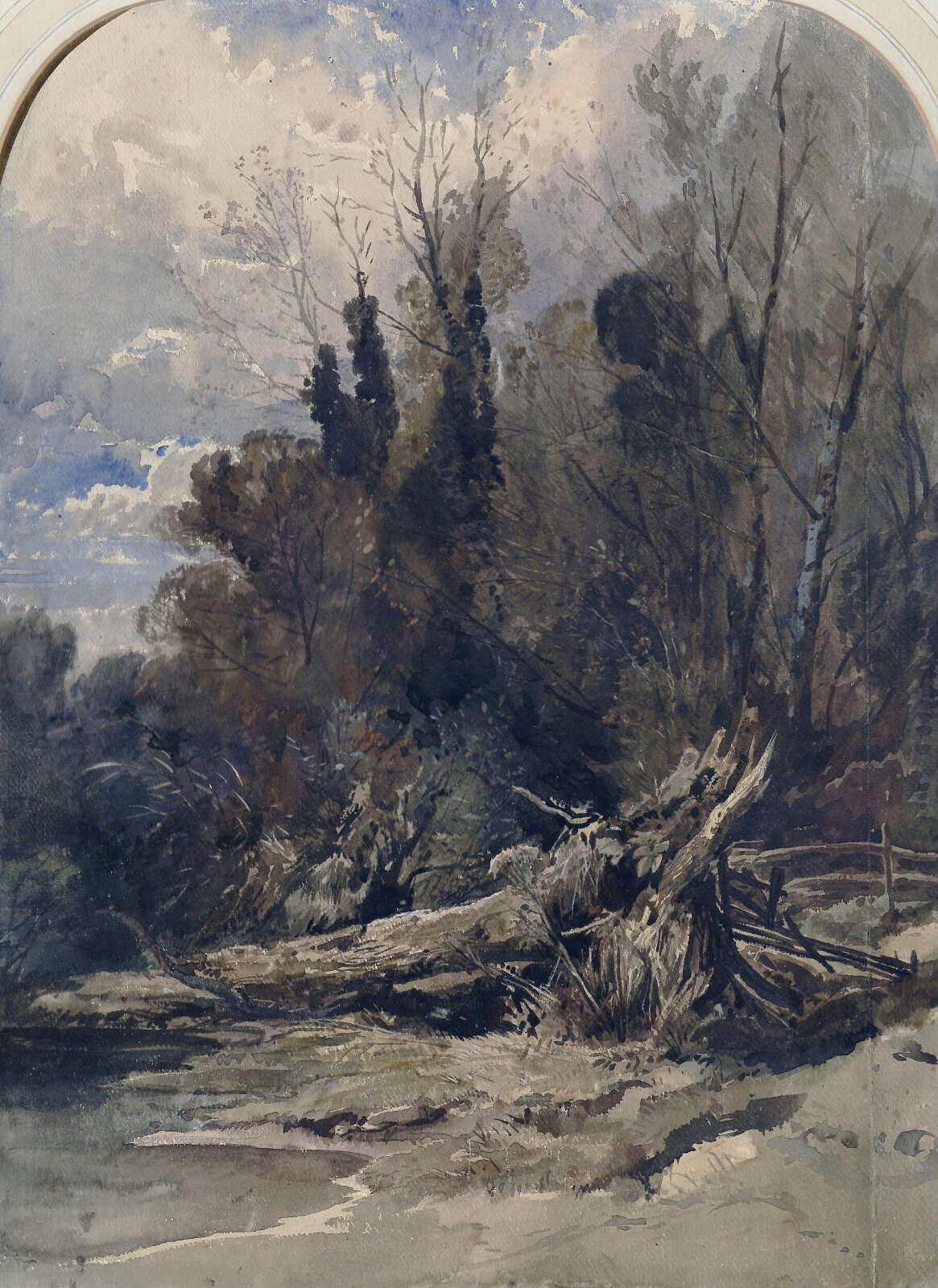 Wood near Bristol, Muller, ca. 1835-45
