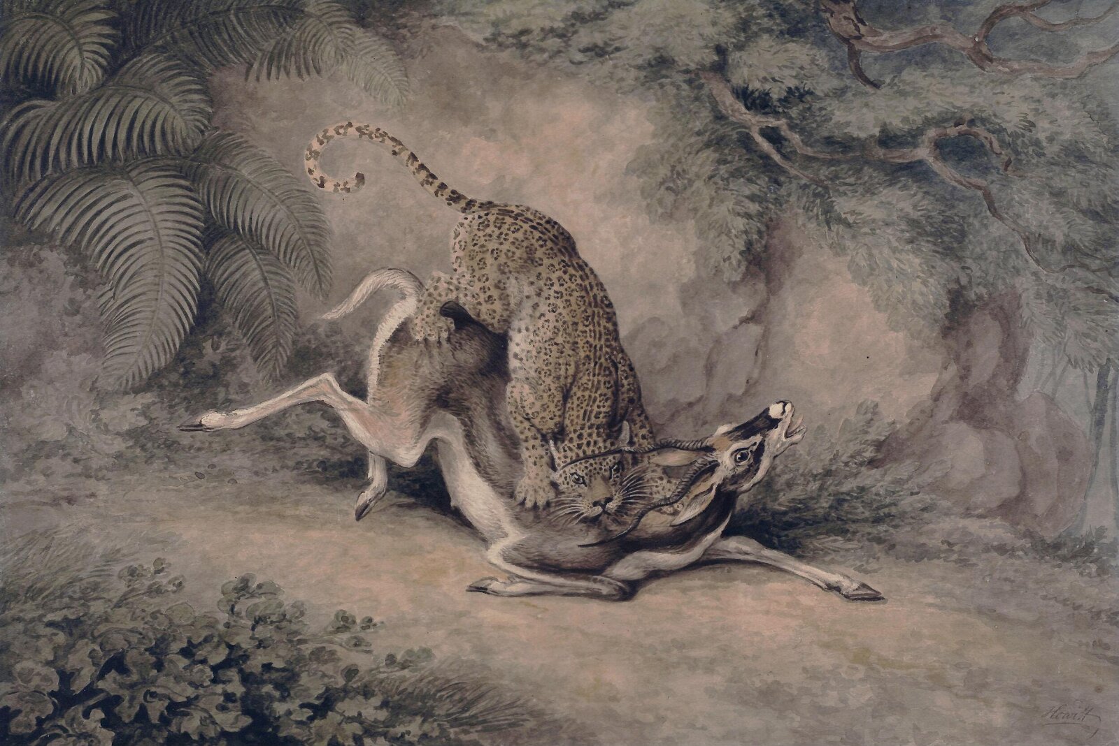 Leopard attacking an Antelope, Samuel Howitt, 1785 - 1822