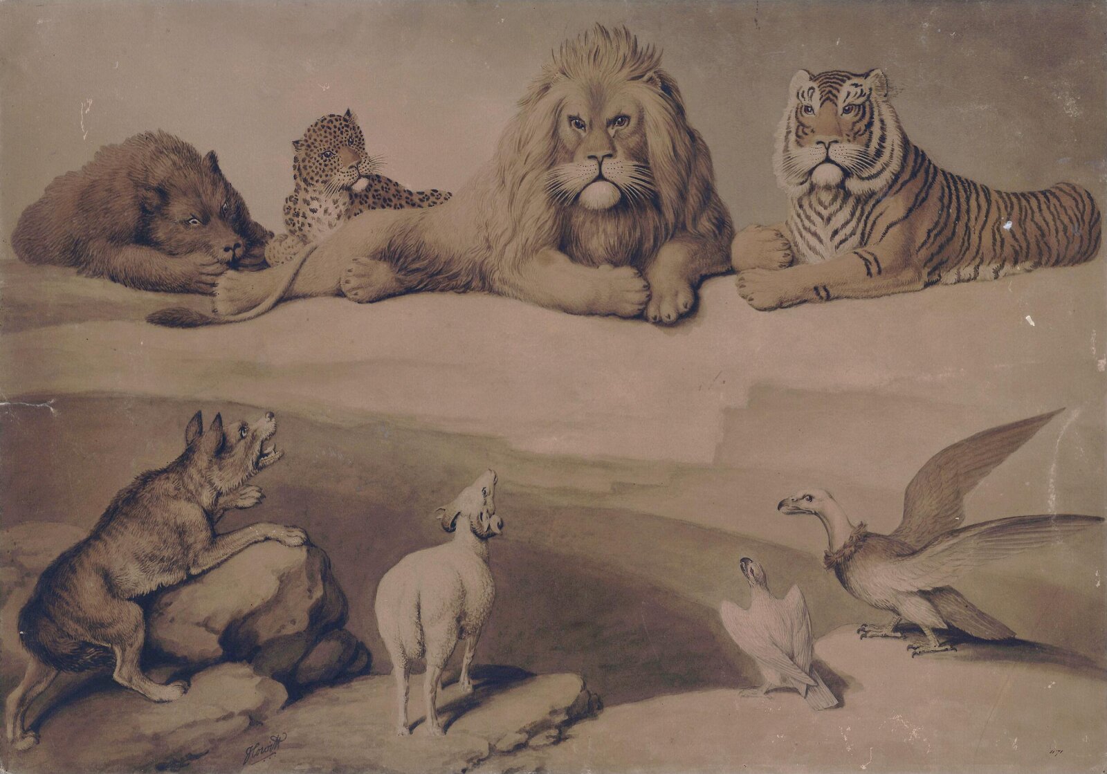 A Council of Animals, Howitt, ca. 1790-1822