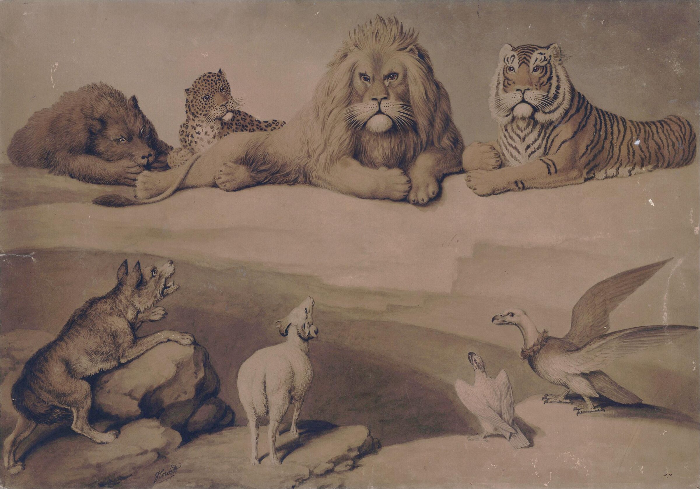 A Council of Animals, Howitt, ca. 1790-1822