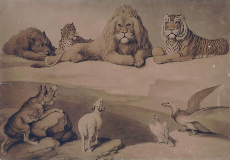 A Council of Animals top image