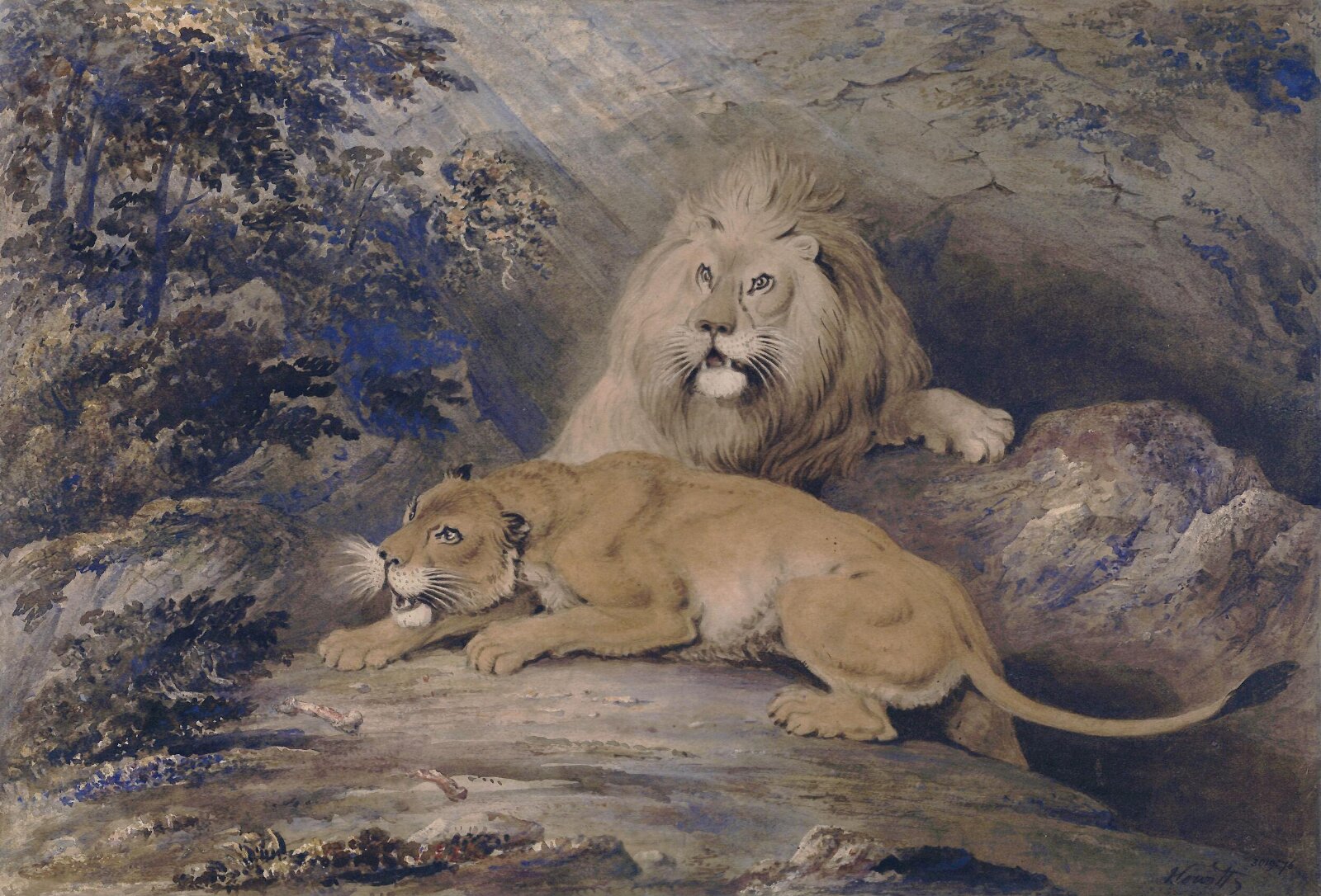 Lion and lioness, Howitt, ca. 1785-1822