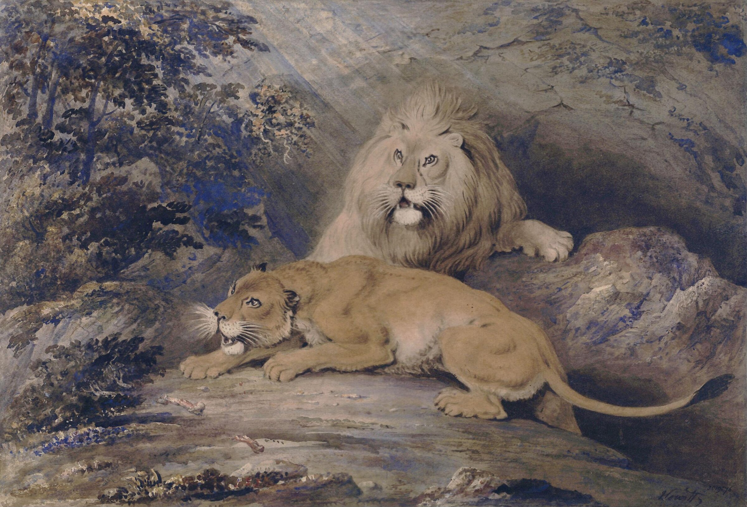 Lion and lioness, Howitt, ca. 1785-1822