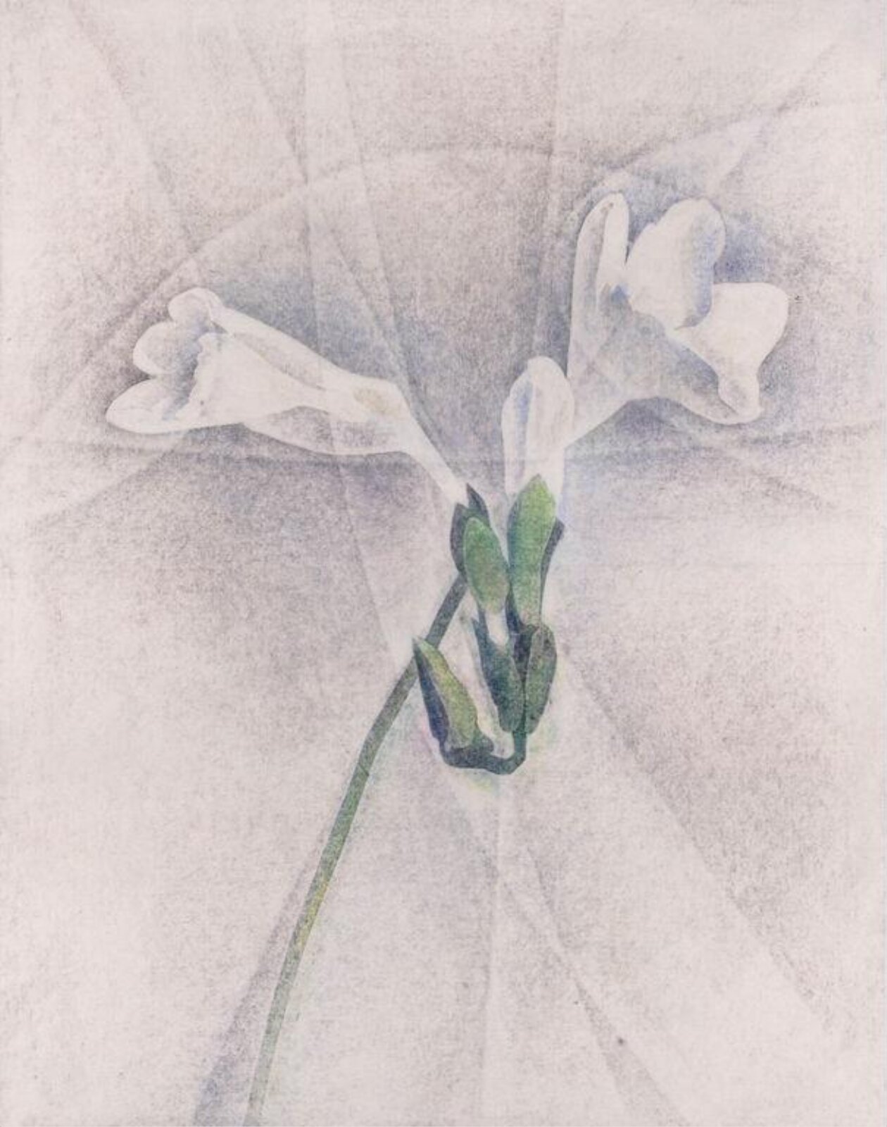 Drawing, E. H. Peskett, ca. late 20th century