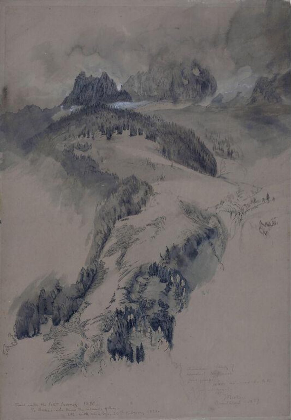 Pines under the Petit Charmoz, John Ruskin, ca.1856