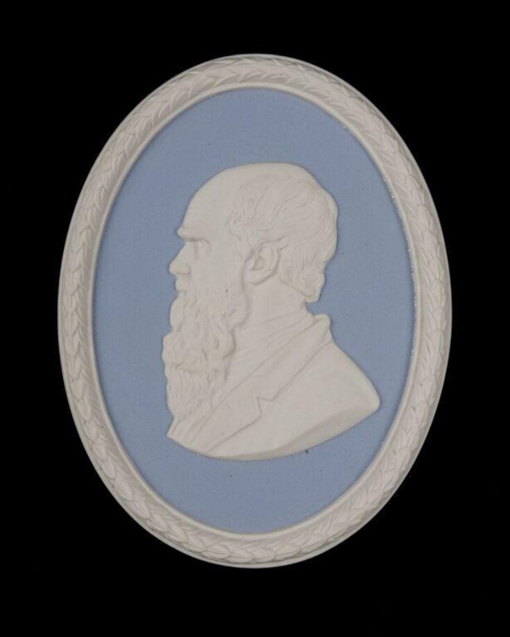 Charles Darwin top image