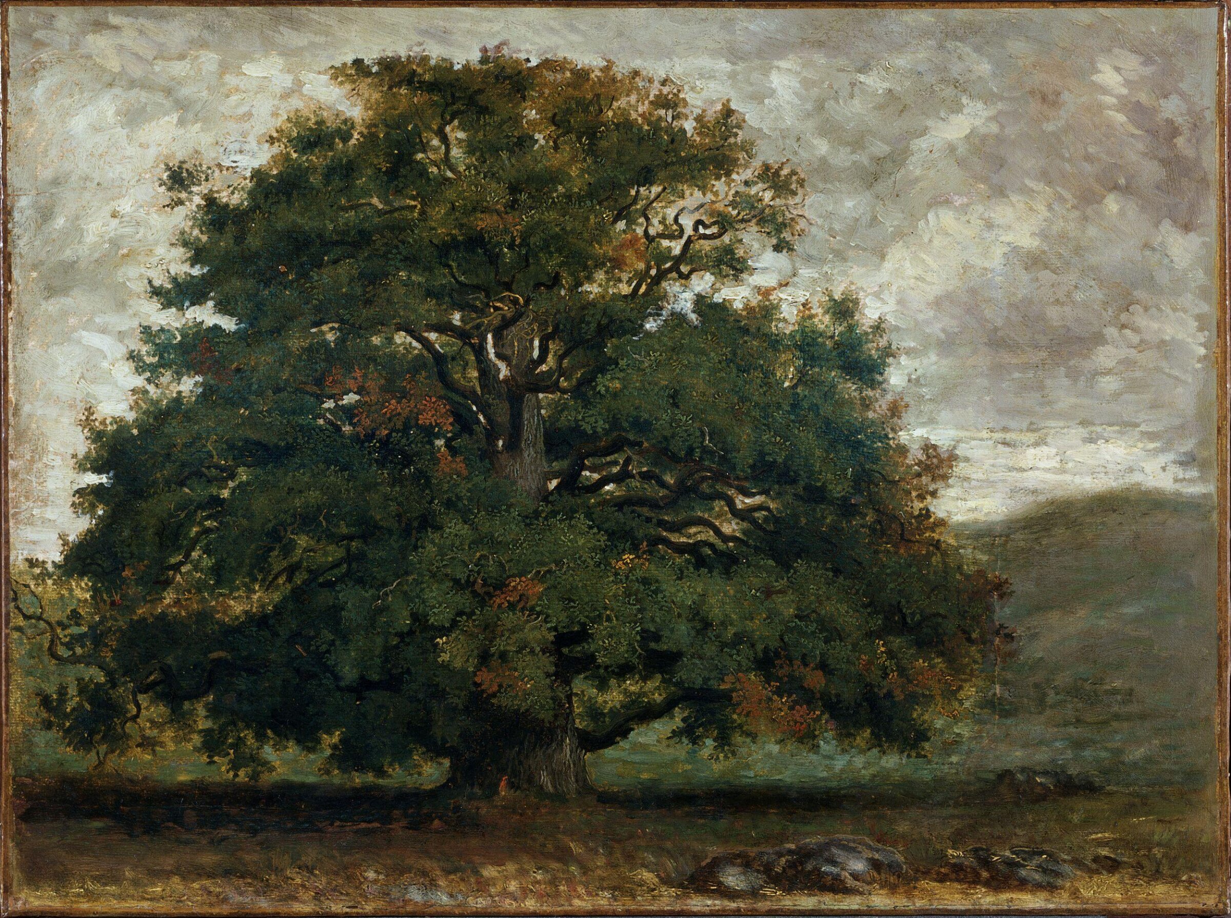 A Tree in Fontainebleau Forest, Pierre-Etienne-Théodore Rousseau, 1840s