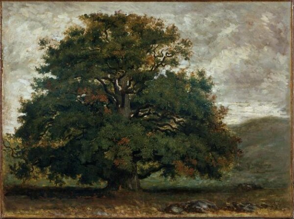 A Tree in Fontainebleau Forest | Rousseau, Pierre-Etienne-Théodore | V ...