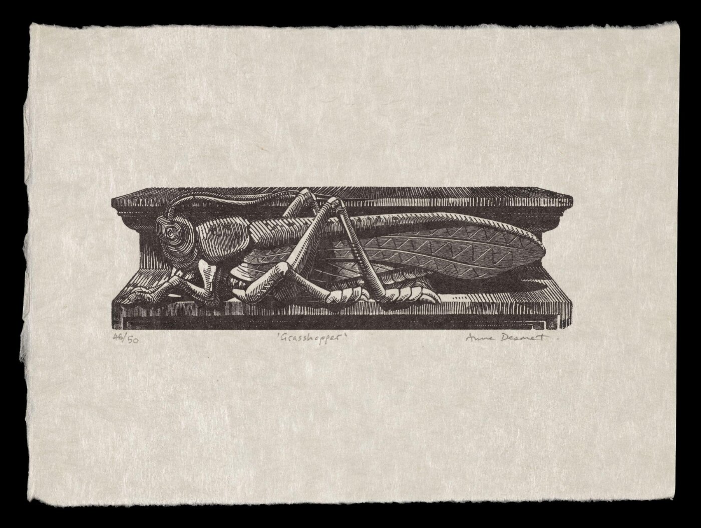 Anne Desmet, Grasshopper