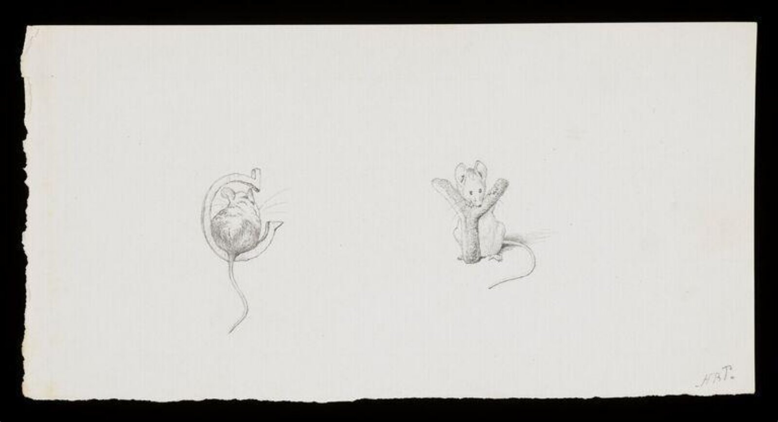 Alphabet designs, Beatrix Potter, ca. 1895
