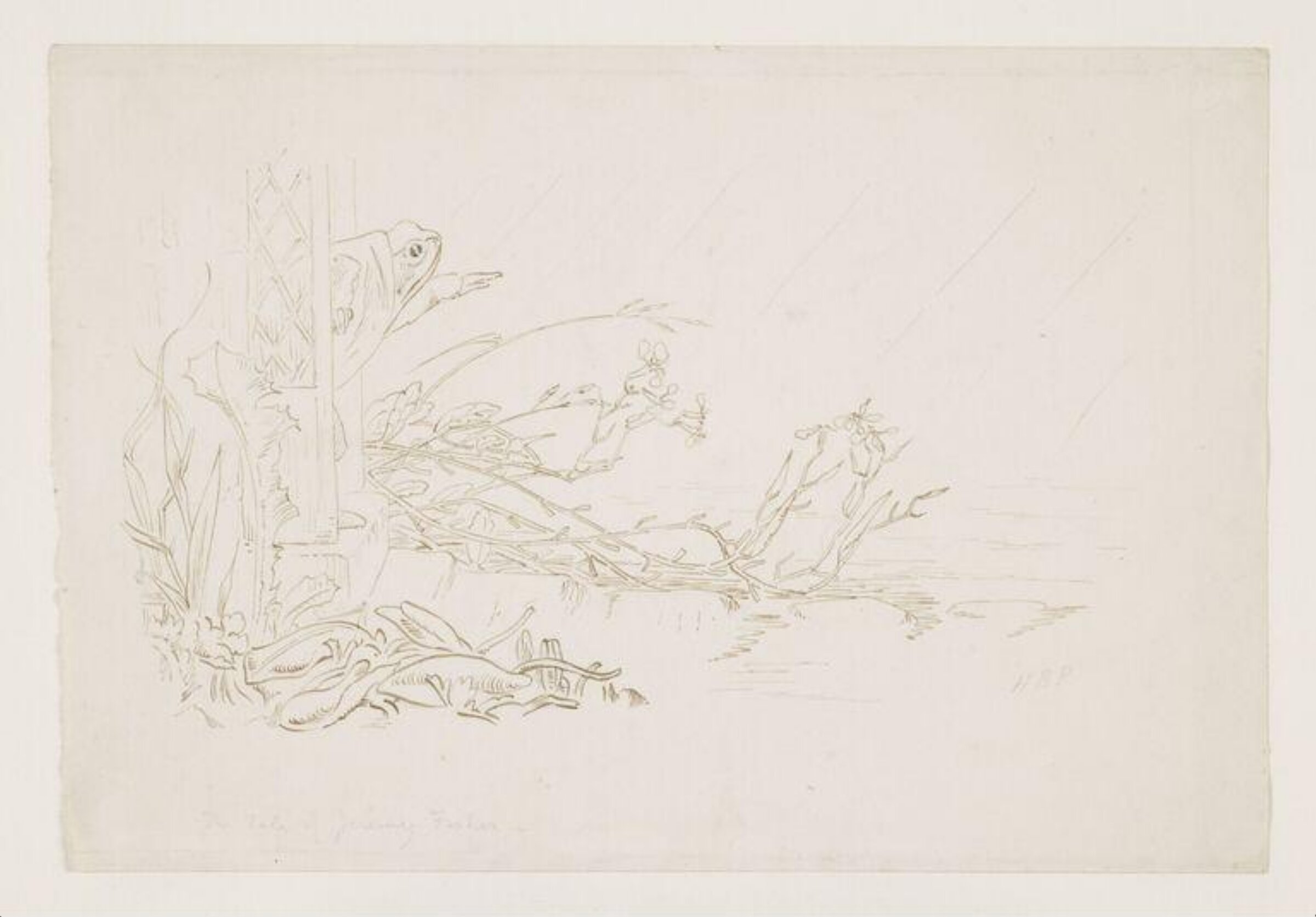 The frog looking out of his house, Beatrix Potter, 1894