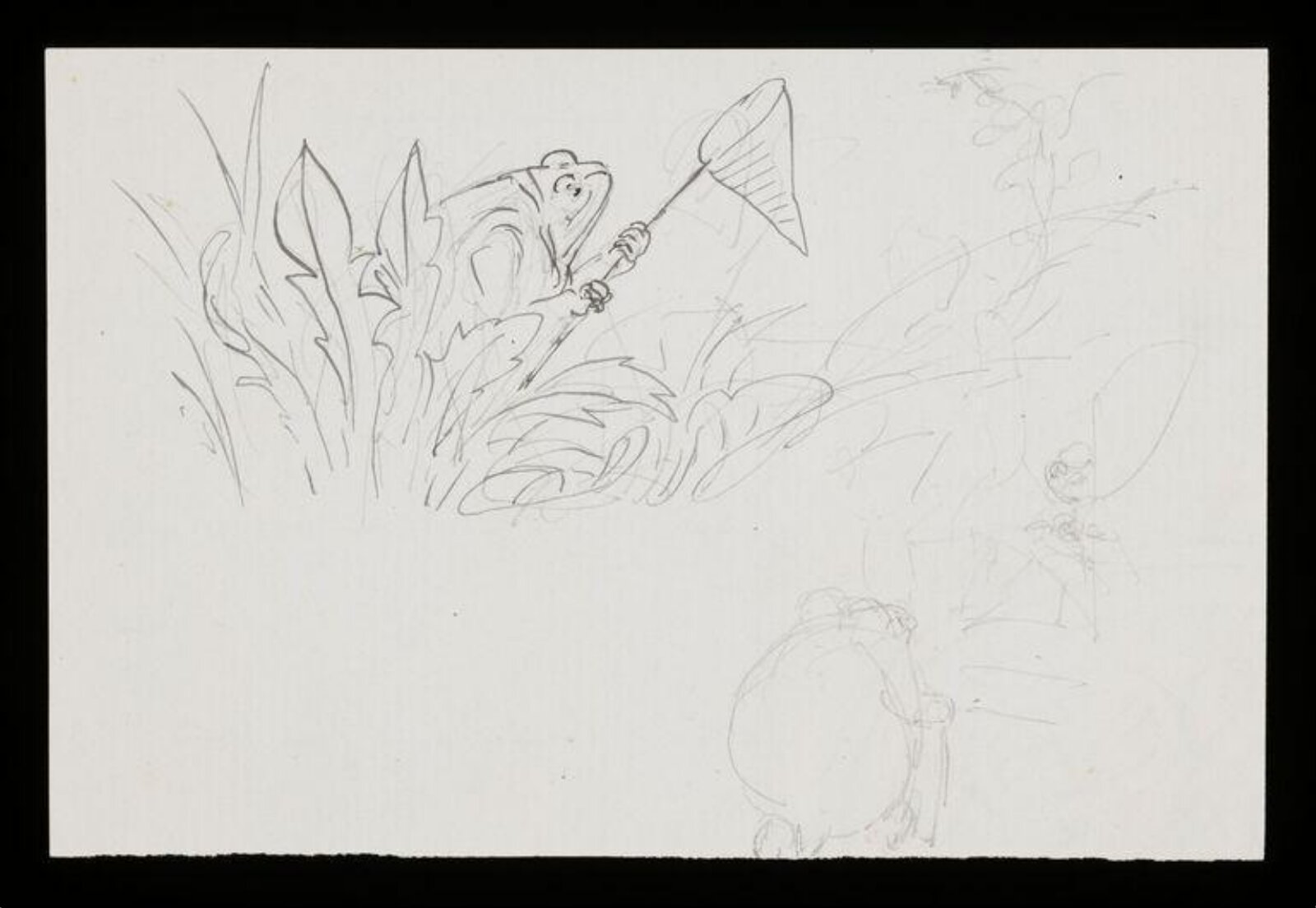 drawing, Beatrix Potter, 1894