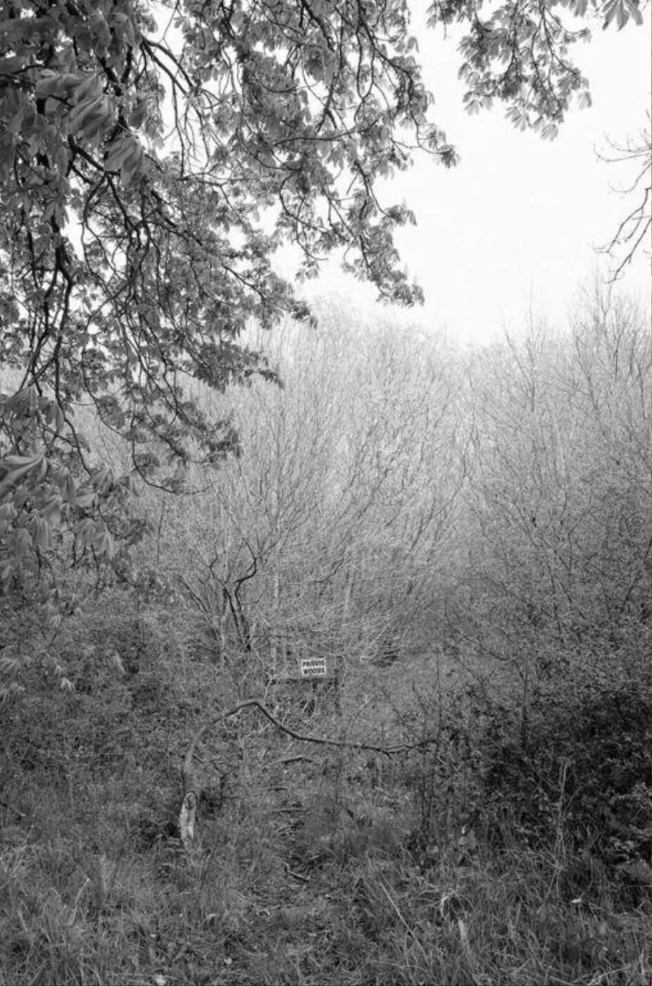 Sam Contis, Overpass
