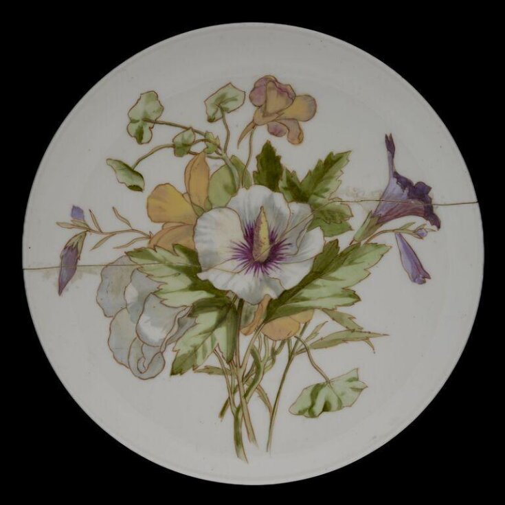 Plate top image