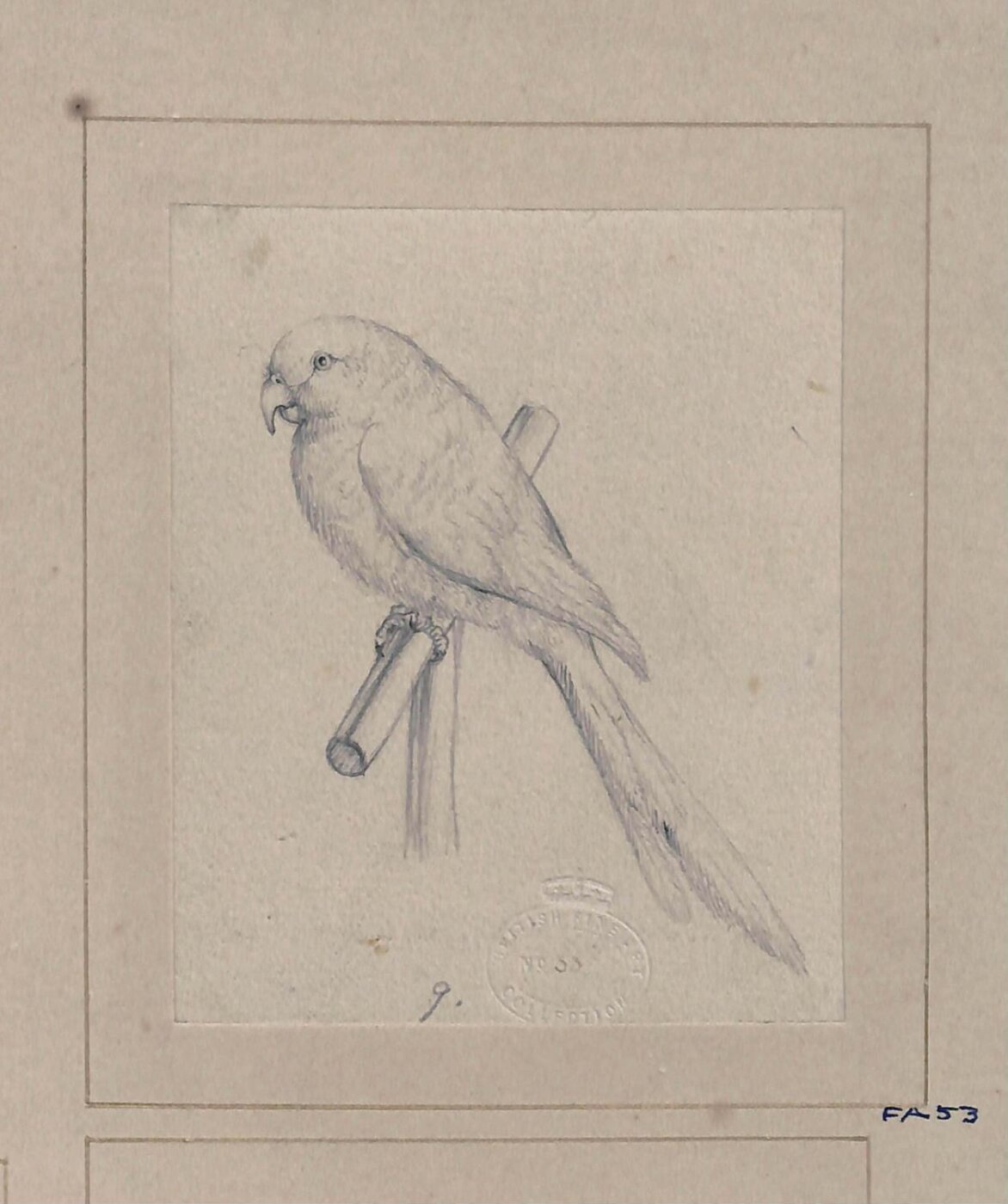 Edwin Landseer, Drawing of a bird
