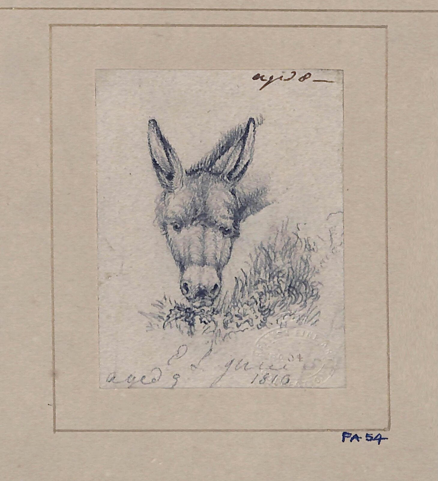 Drawing of a donkey, Edwin Landseer, c.1805-1818