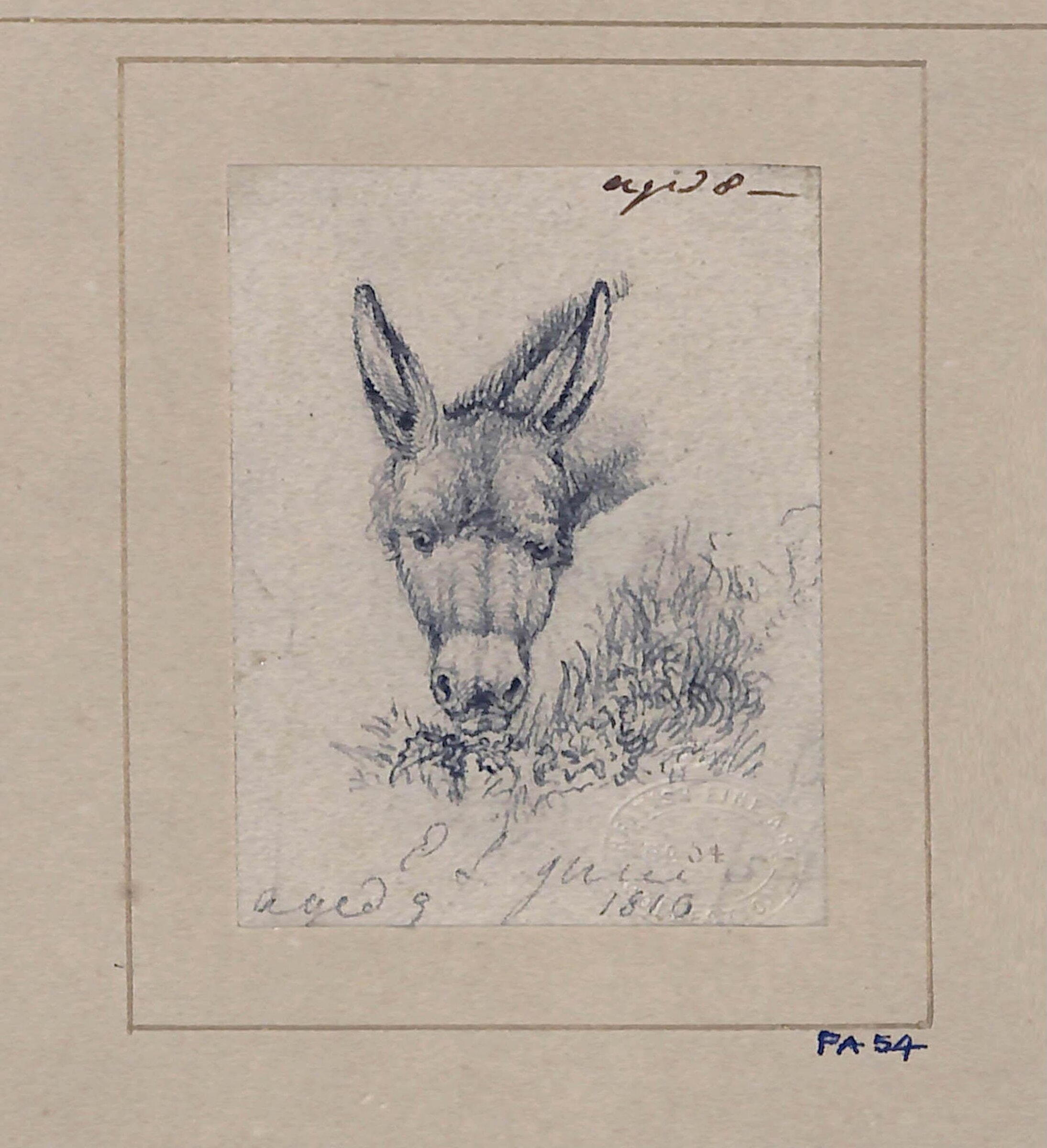 Drawing of a donkey, Edwin Landseer, c.1805-1818