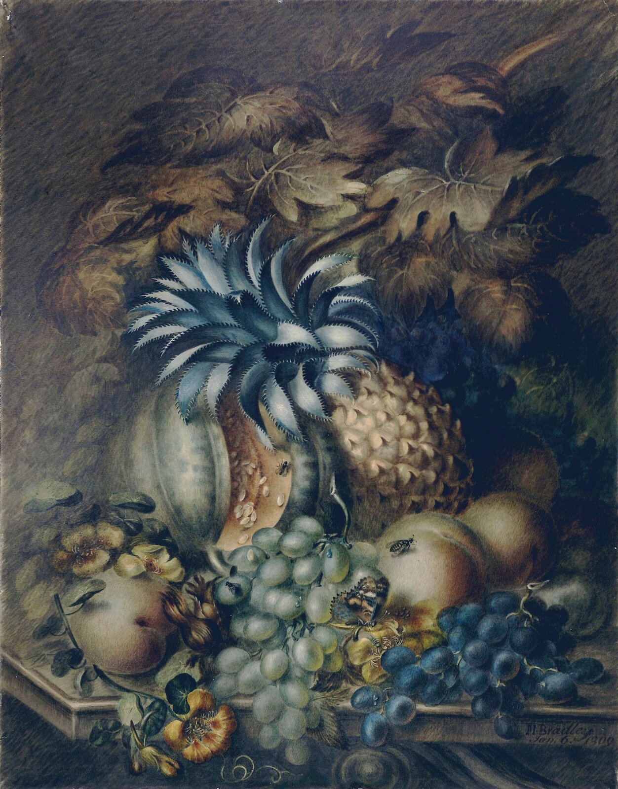 Watercolour, Mary Bradley, 6 January 1809