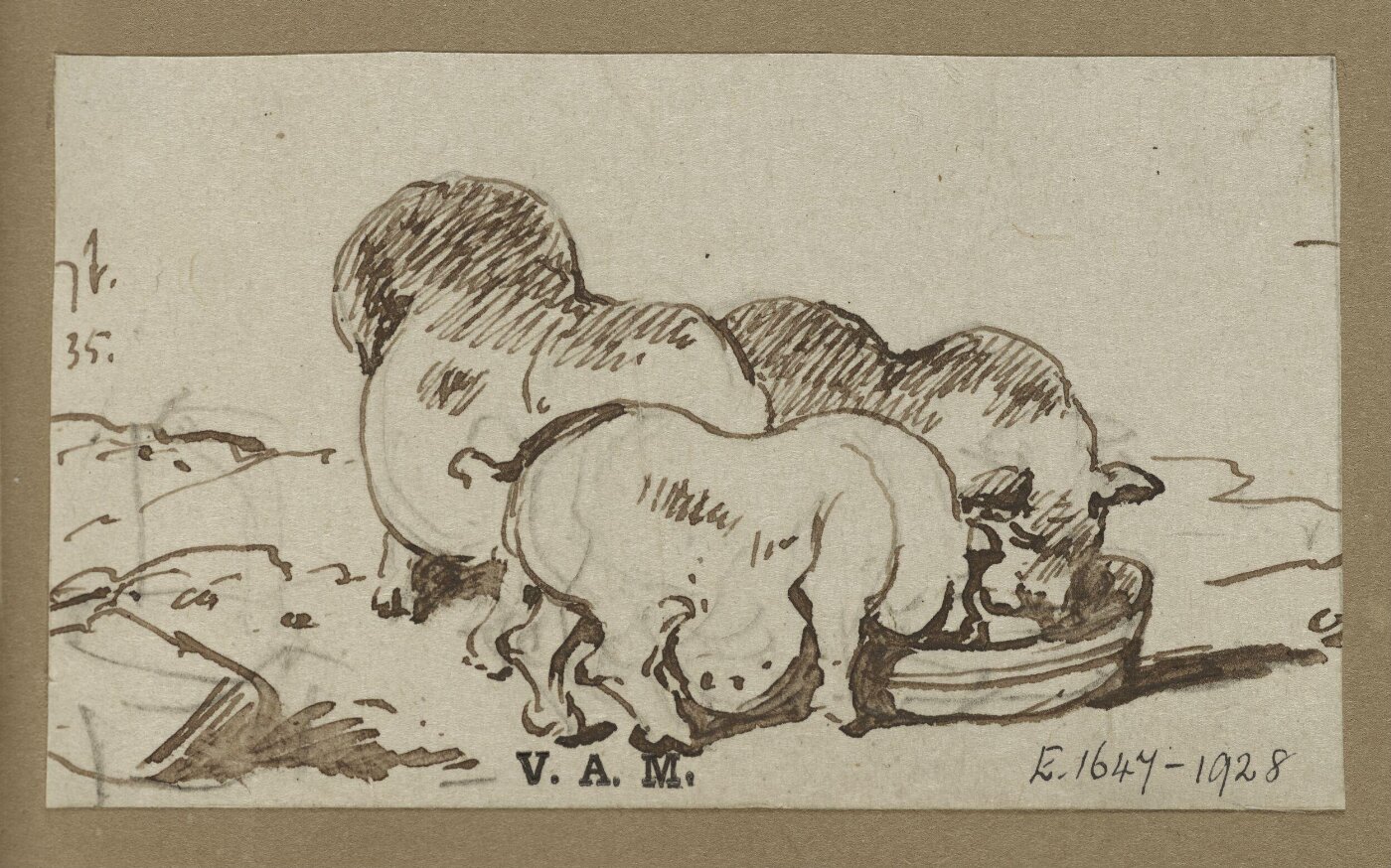 George Chinnery, Three pigs