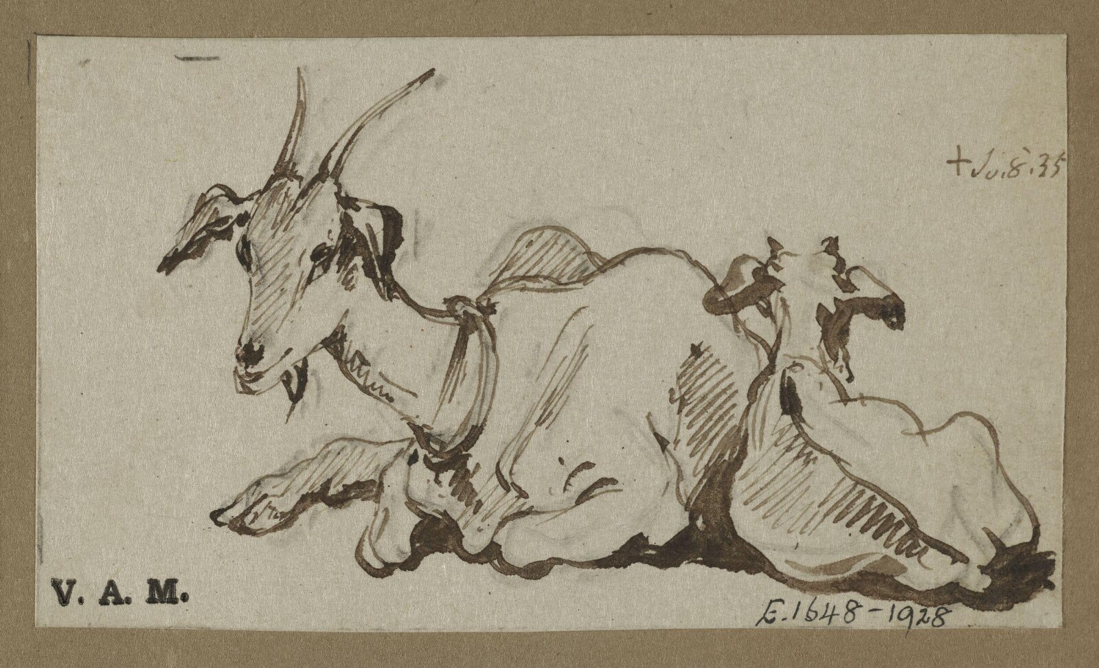 Two goats, George Chinnery, 08/07/1835