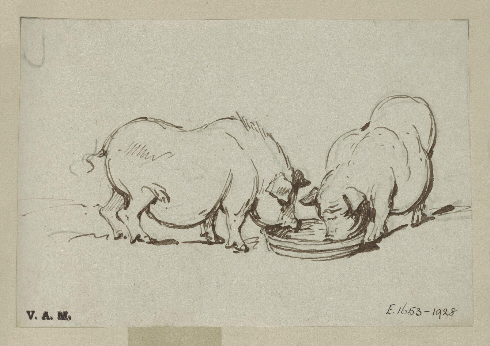 Two pigs feeding, George Chinnery, 29/09/1825 - 30/05/1852
