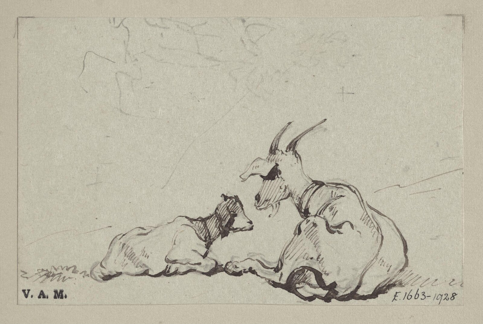 Two goats, George Chinnery, 29/09/1825 - 30/05/1852
