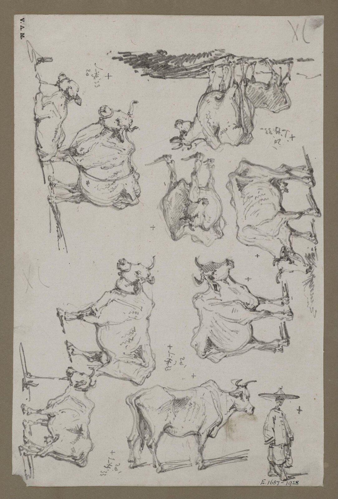 Studies of cattle, George Chinnery, 20/06/1833