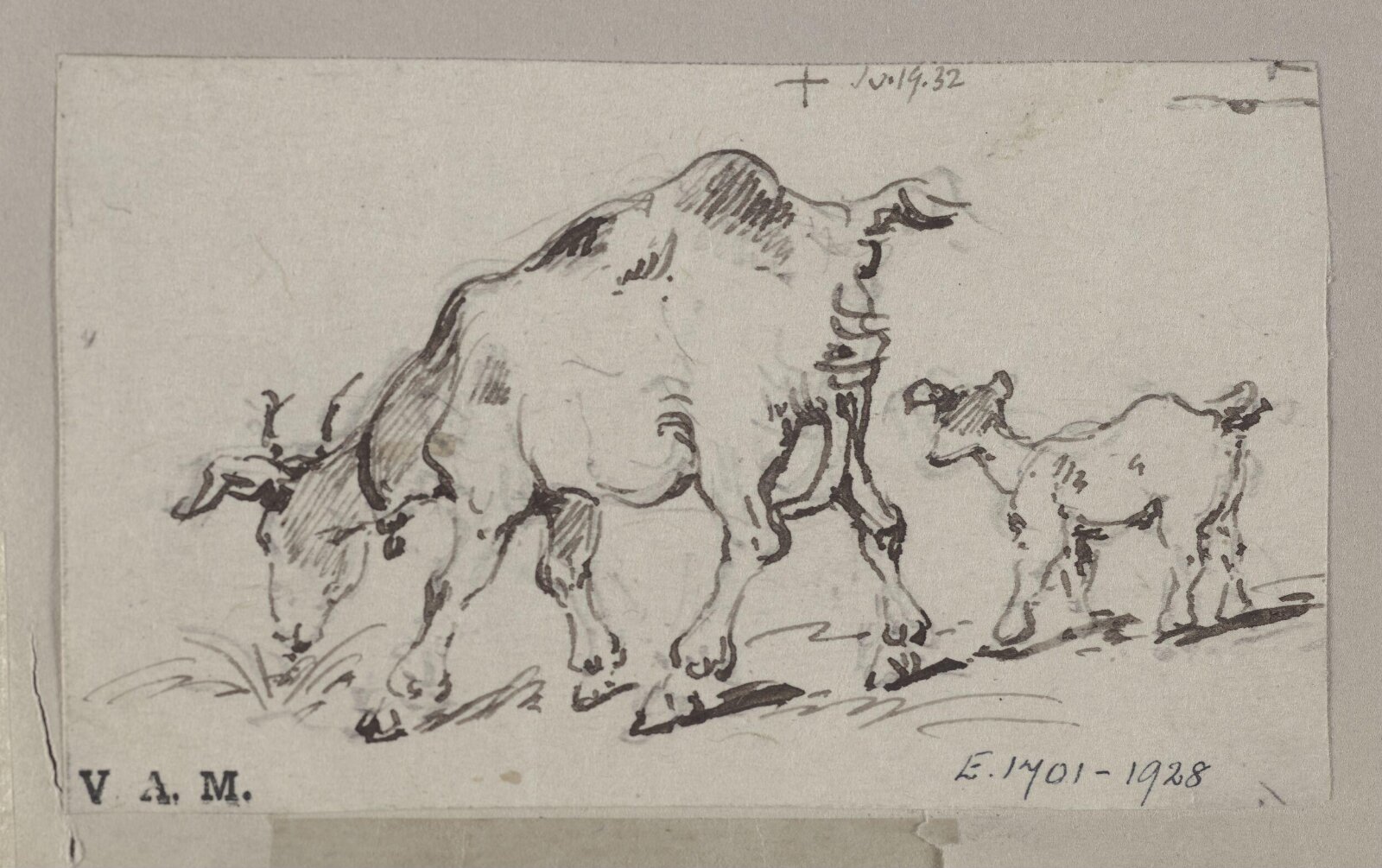 A goat and kid, George Chinnery, 19/07/1832