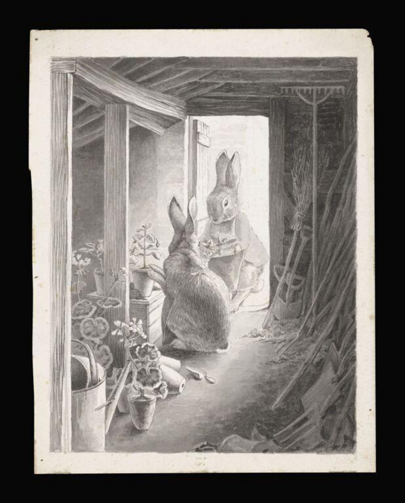 The rabbit's potting shed, Beatrix Potter, 1891