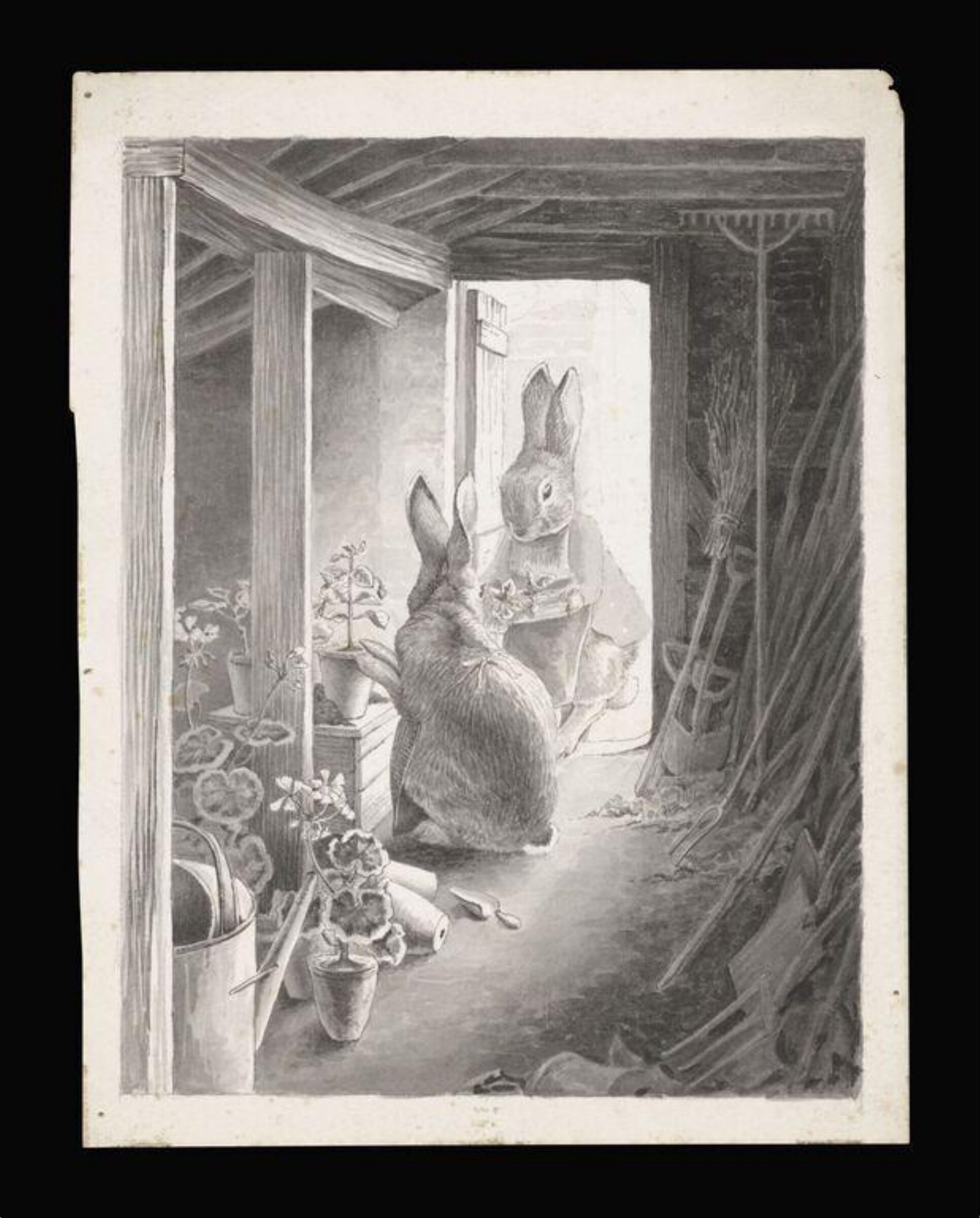 The rabbit's potting shed, Beatrix Potter, 1891