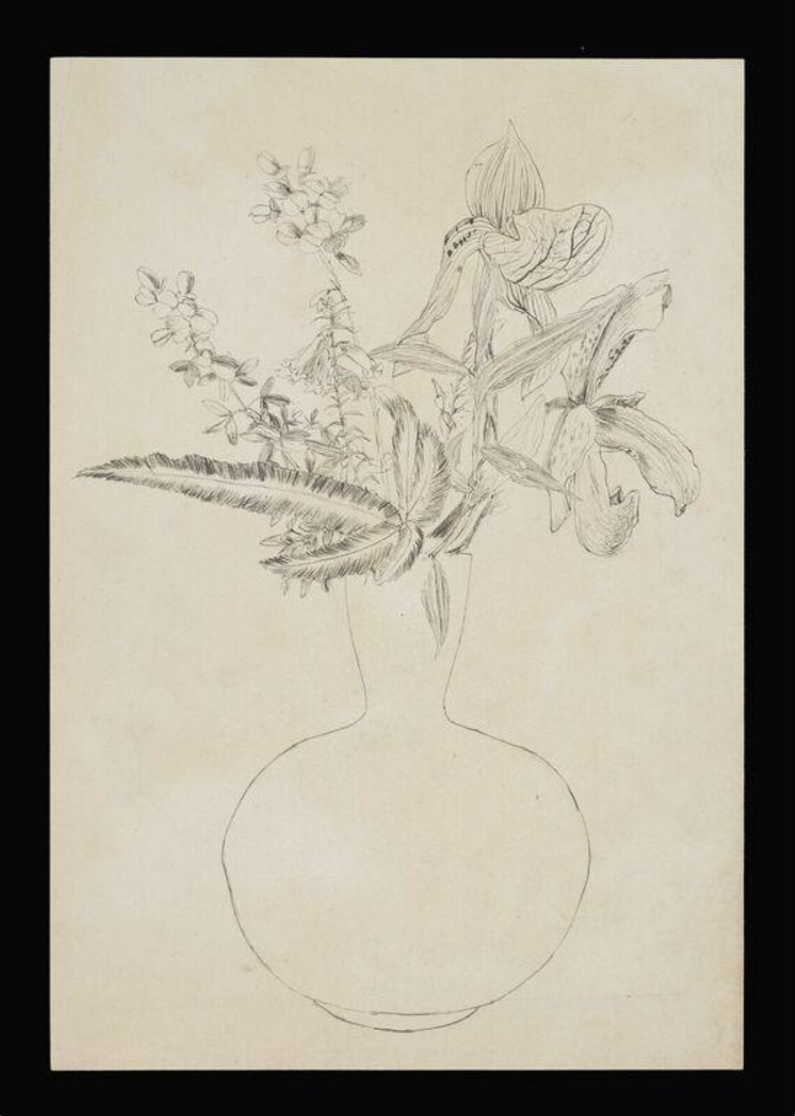 drawing, Beatrix Potter, ca.1876