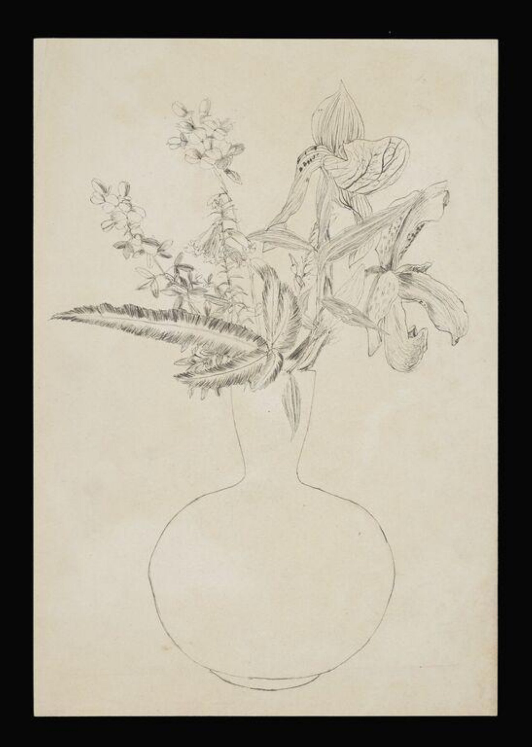 drawing, Beatrix Potter, ca.1876