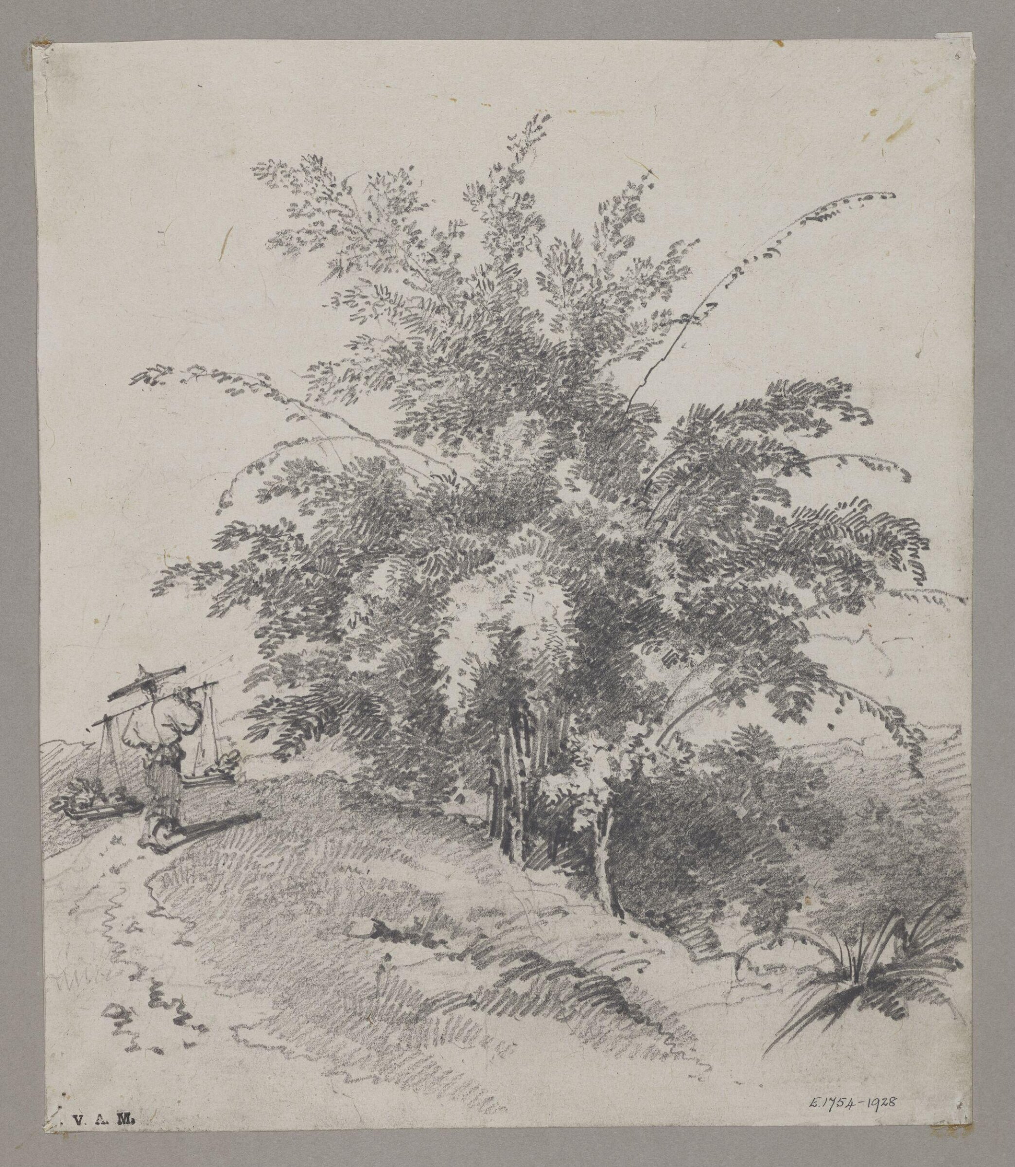 Bamboo tree, George Chinnery, 29/09/1825 - 30/05/1852