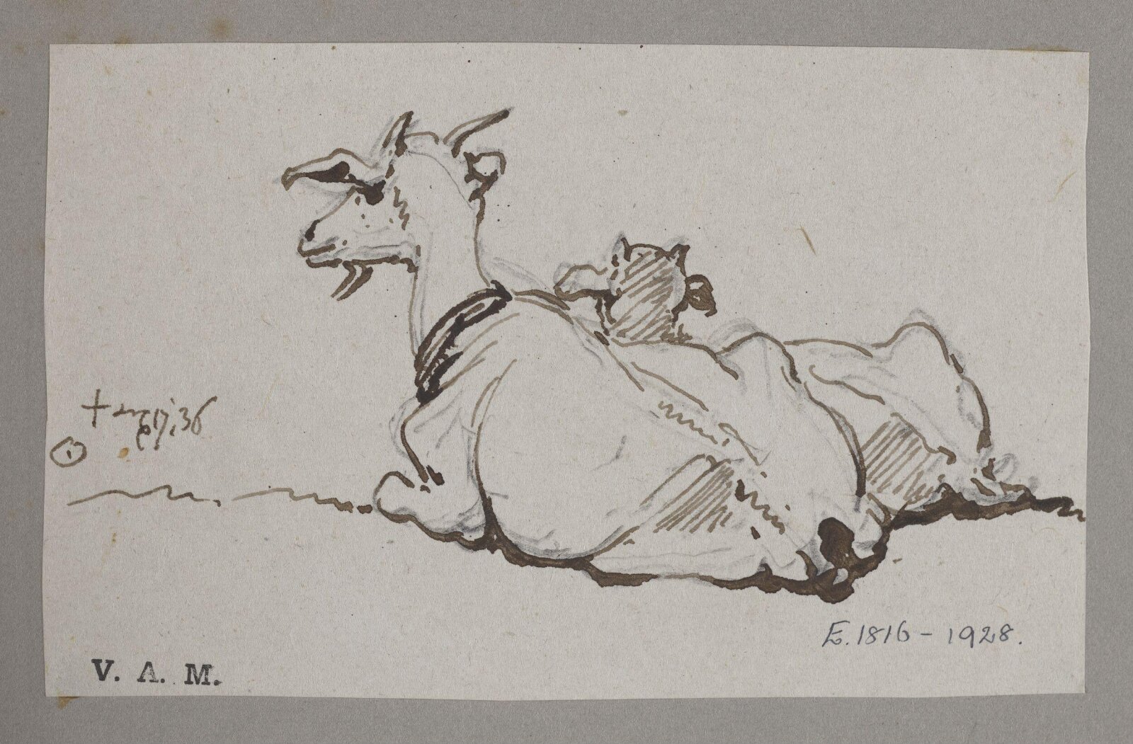 A goat and kid, George Chinnery, 17/08/1836