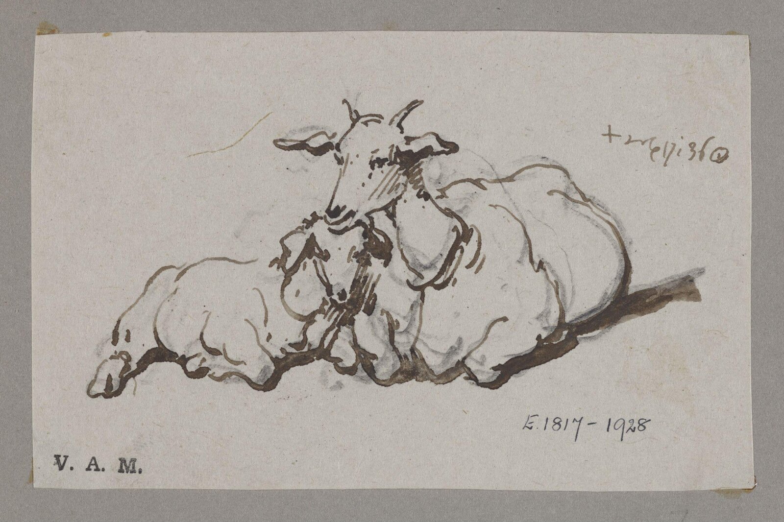 A goat and kid, George Chinnery, 17/08/1836