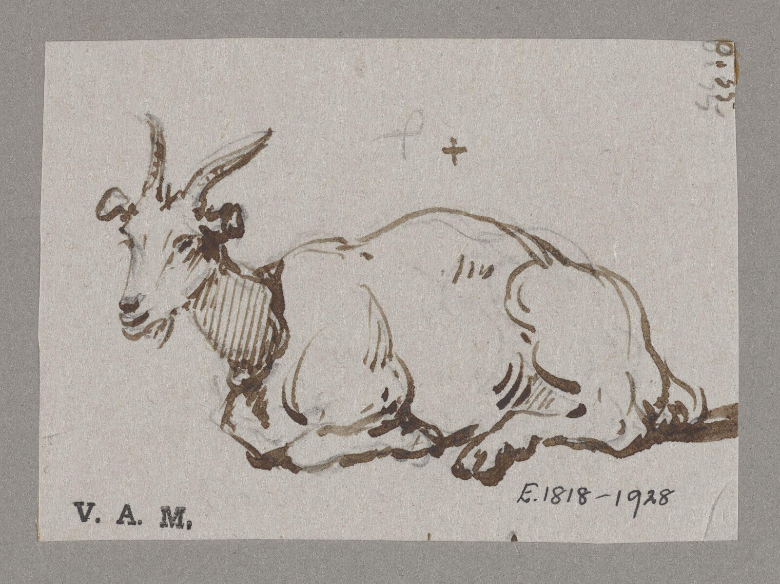 A goat reclining, George Chinnery, 10/01/1835 - 30/12/1835