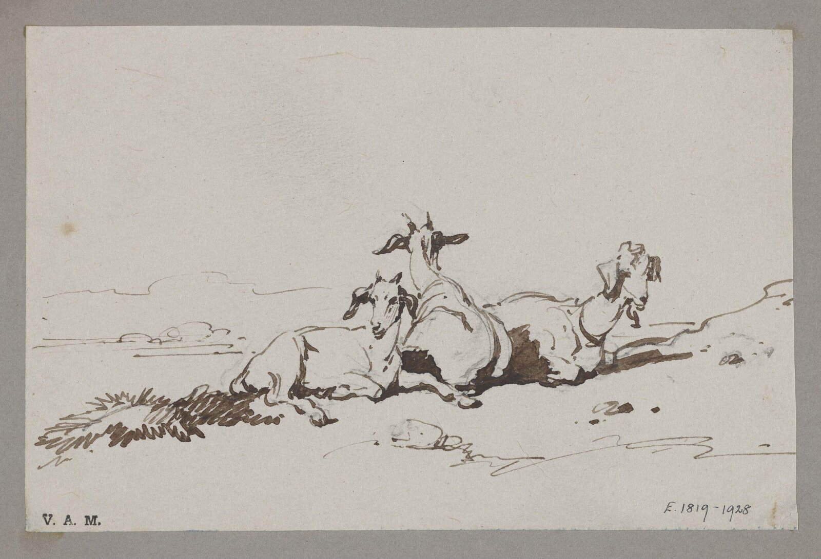 Three goats, George Chinnery, 29/09/1825 - 30/05/1852