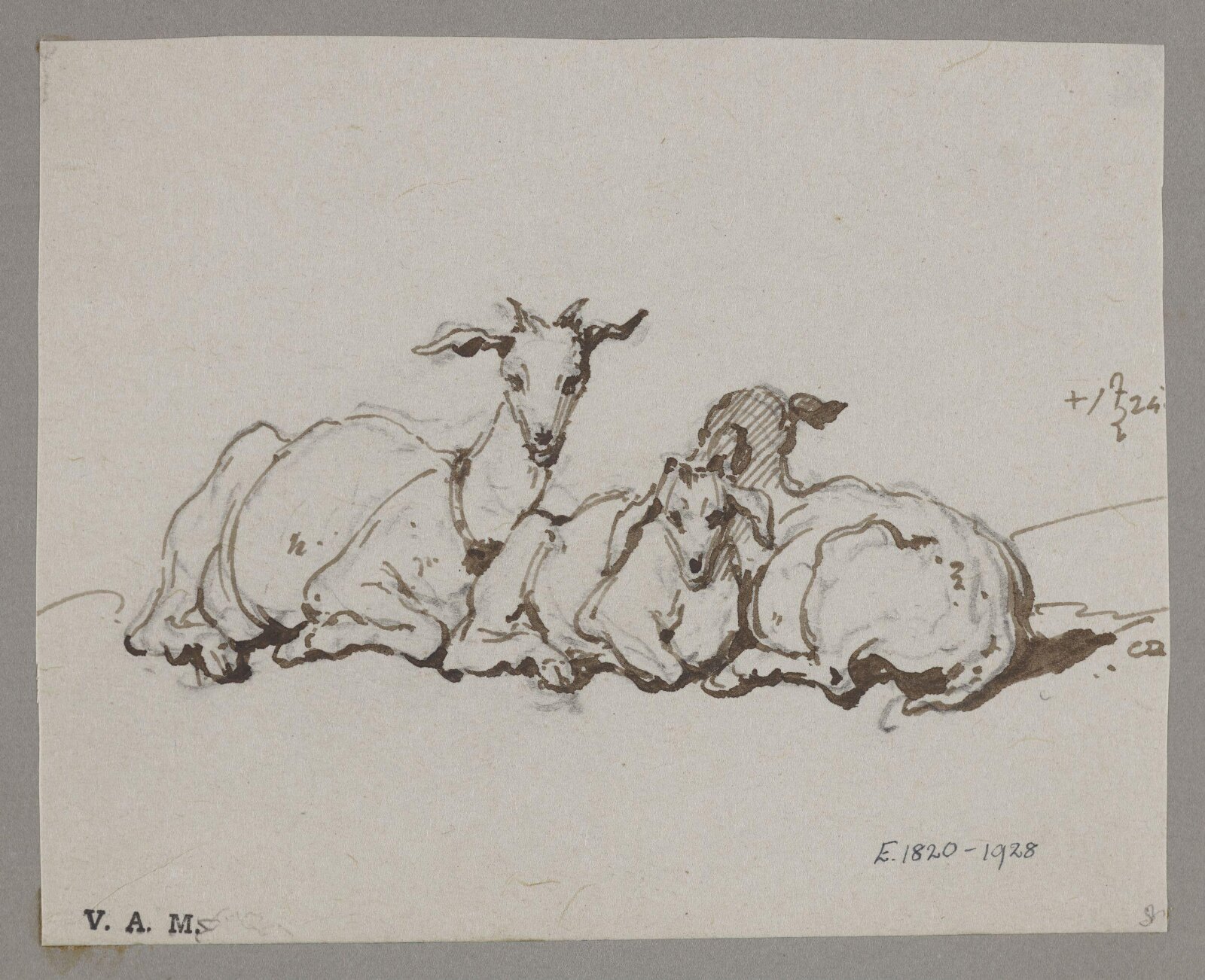 Two goats and a kid, George Chinnery, 24/09/1826 - 24/09/1852
