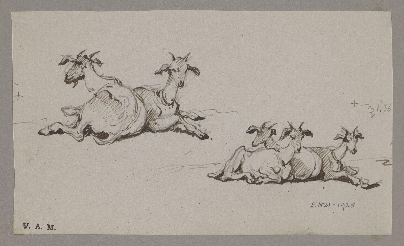 George Chinnery, Two groups of goats