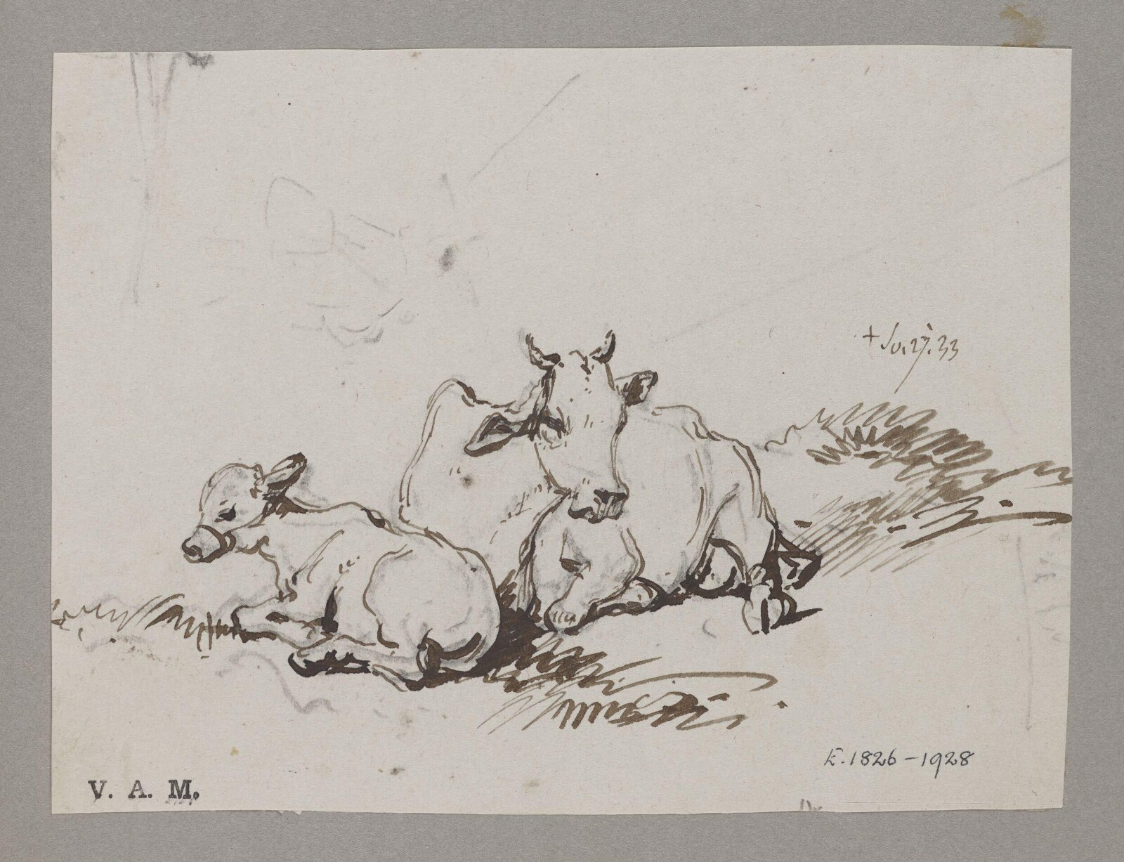 A cow and calf, George Chinnery, 27/07/1833