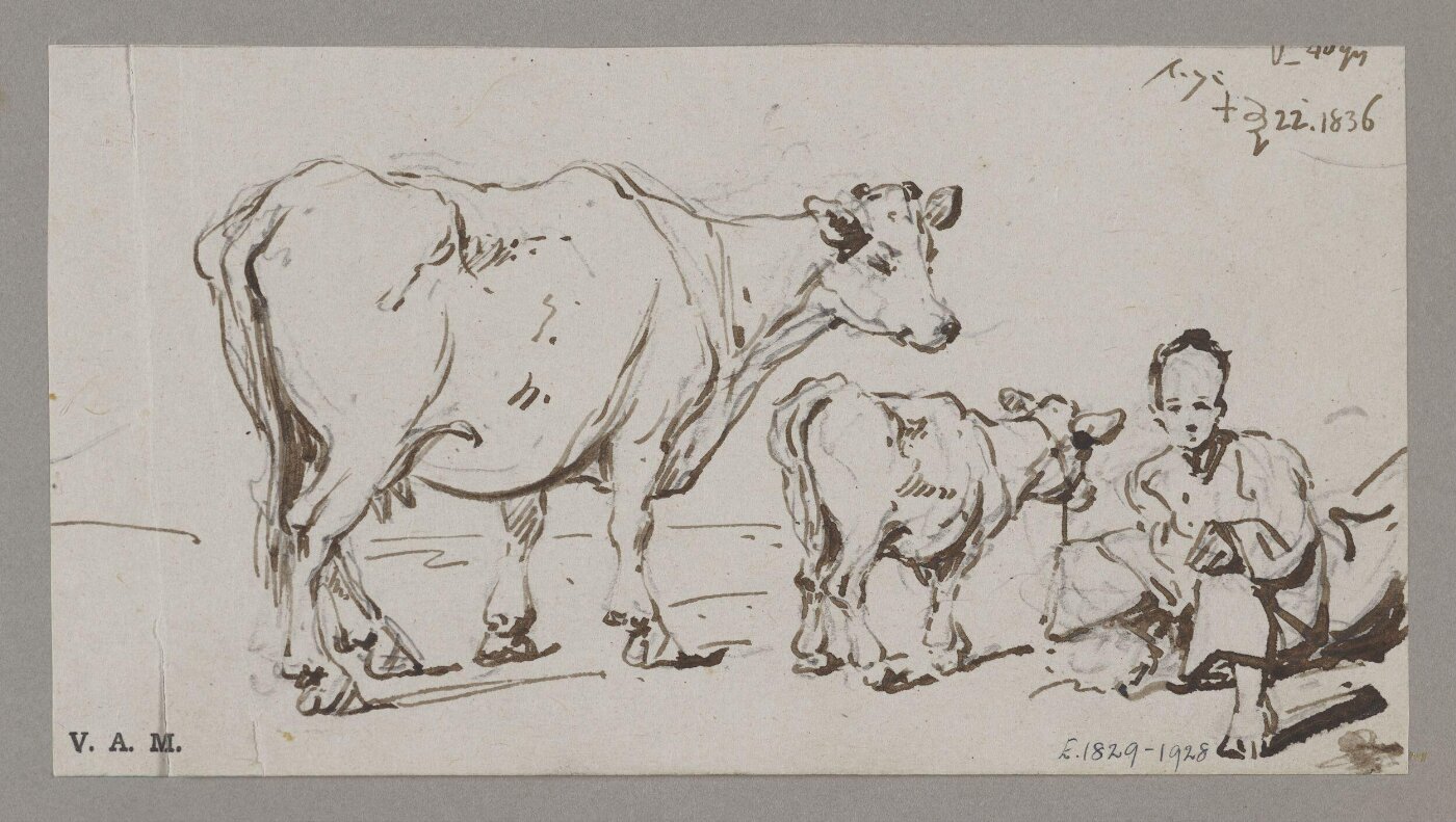 George Chinnery, A cow and calf, with a crouching figure