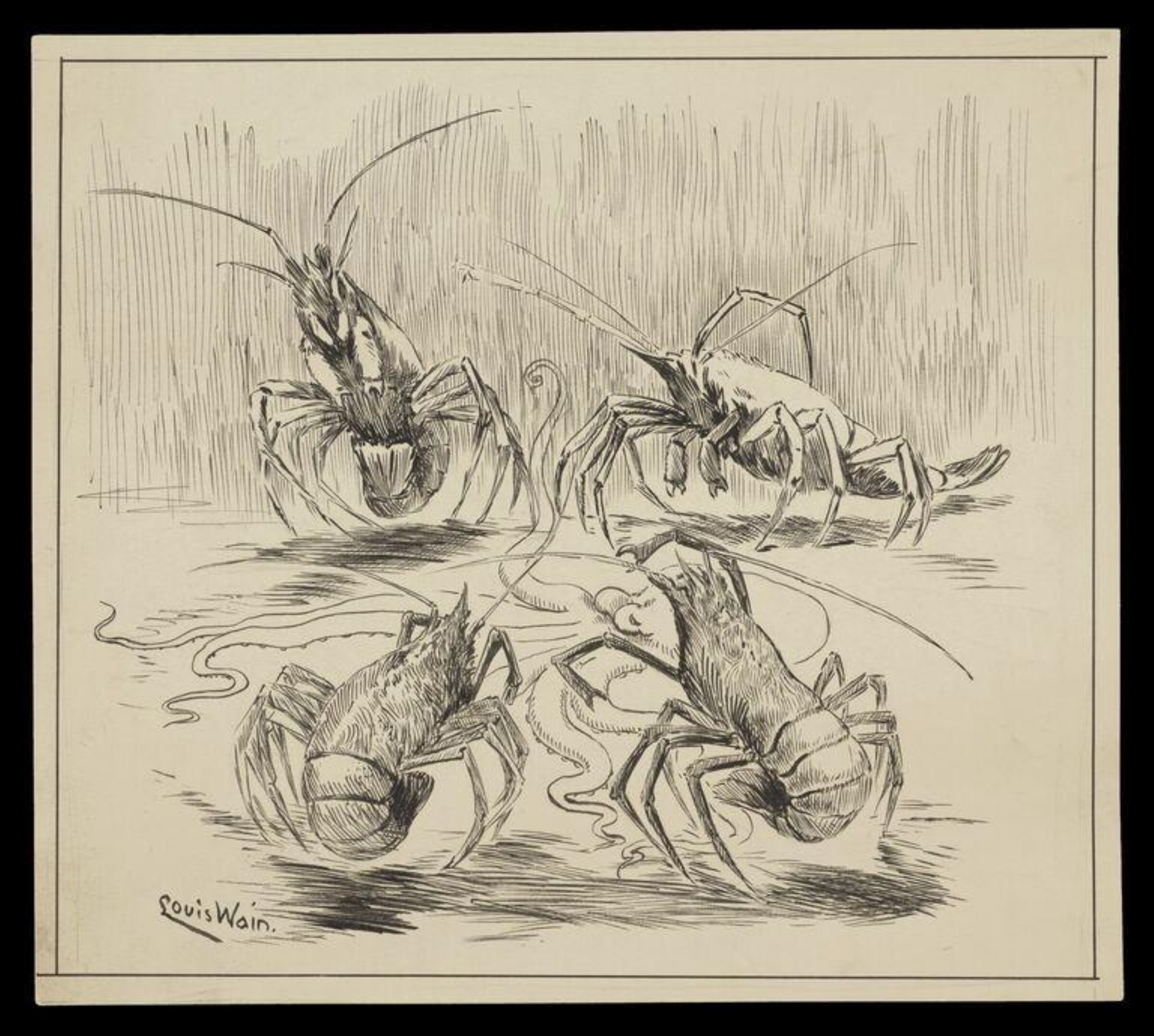 Crayfish contemplating the division of a dead octopus, Louis Wain, 1900