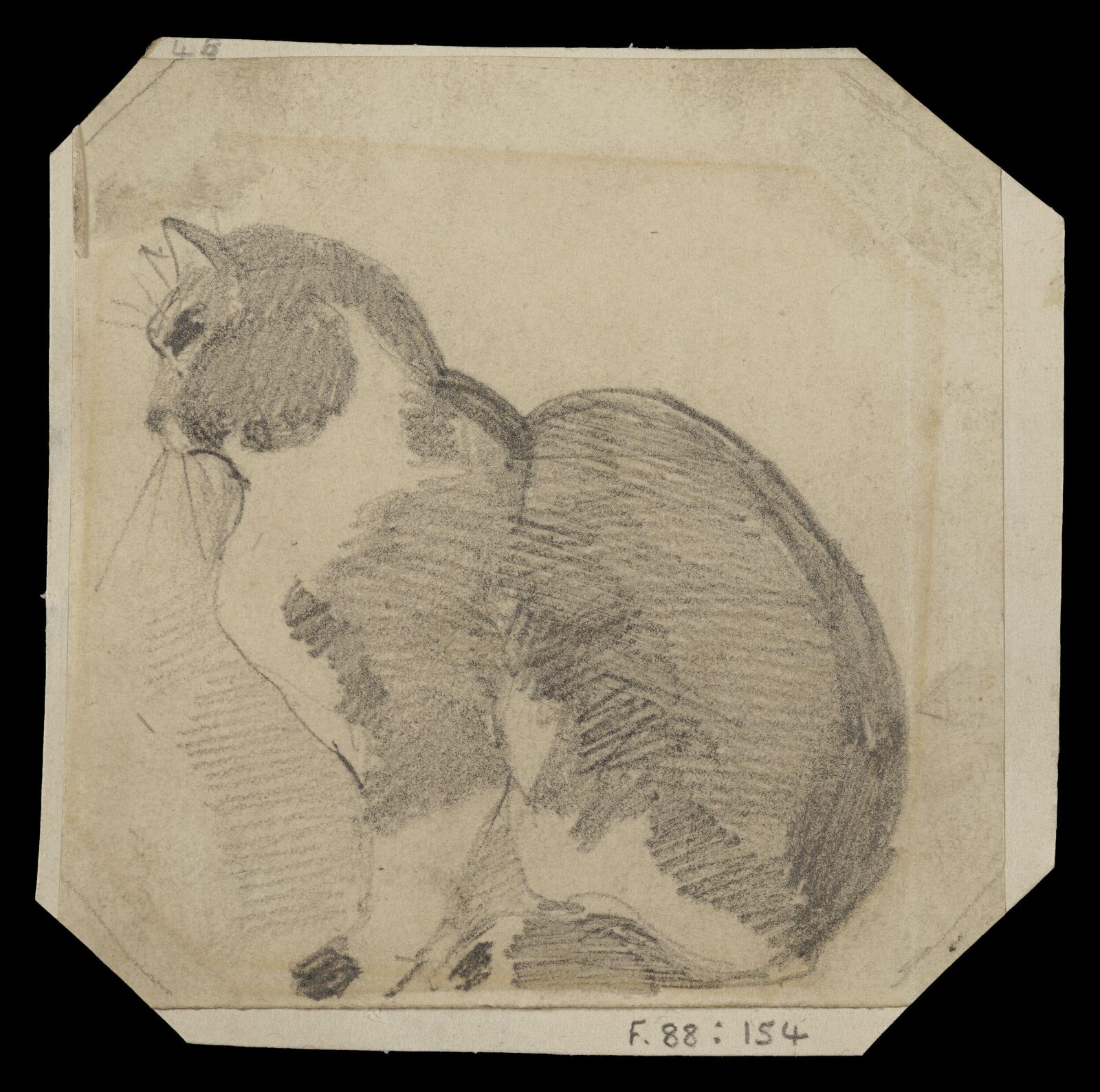 Study of a seated cat, Daniel Maclise, ca. 1825-70
