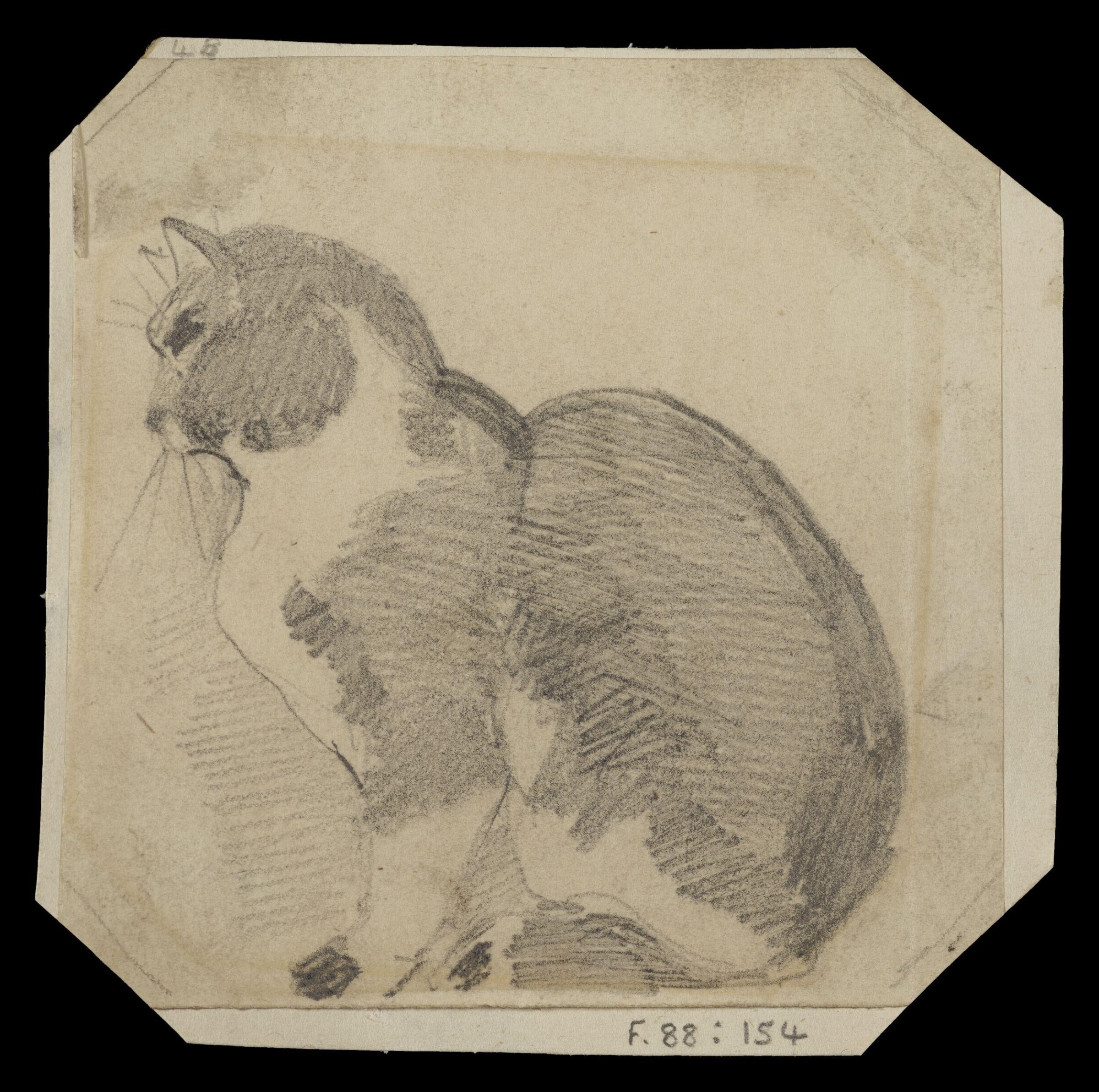 Study of a seated cat, Daniel Maclise, ca. 1825-70