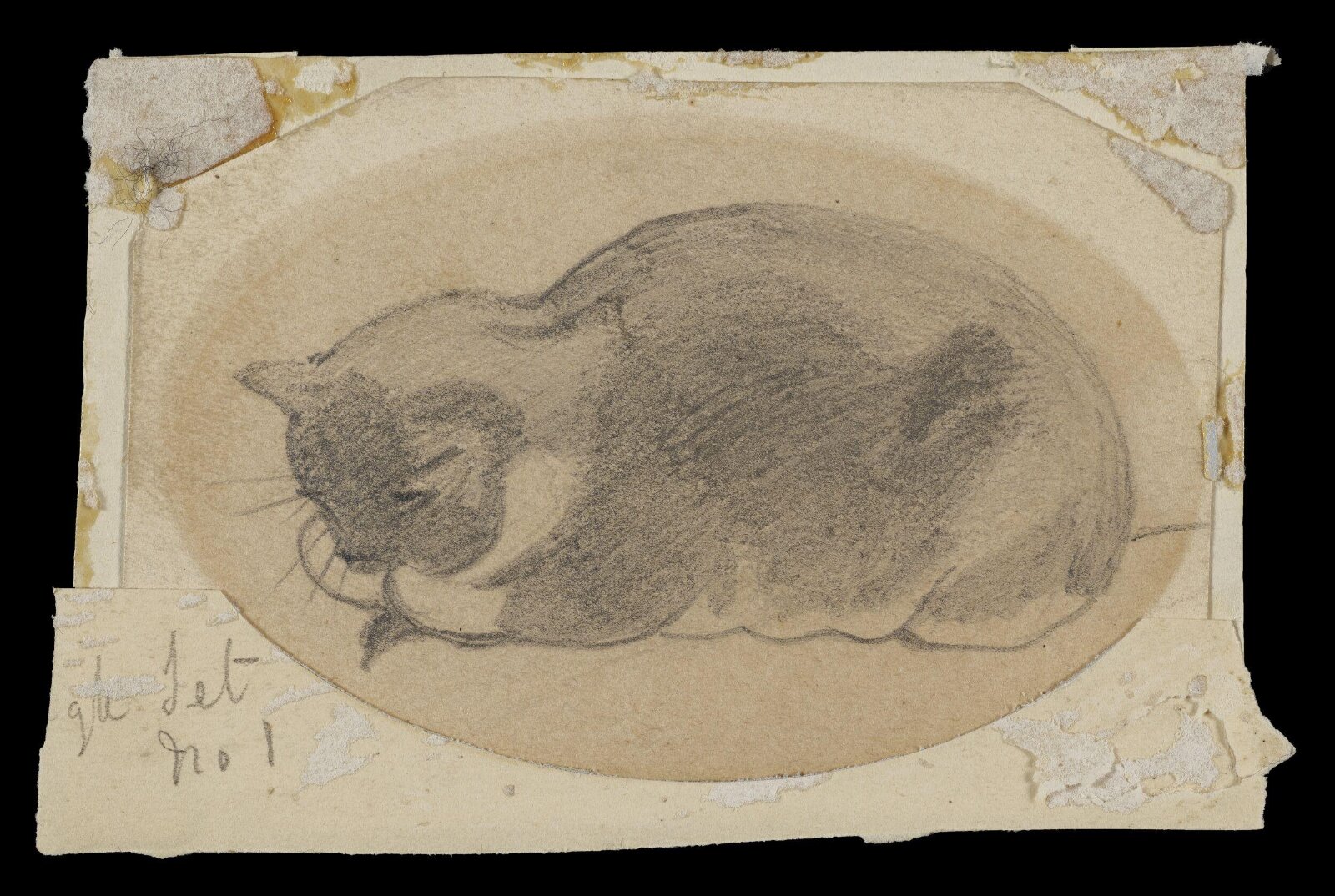 Study of a sleeping cat, Дэниел Маклис, ок. 1825–1870